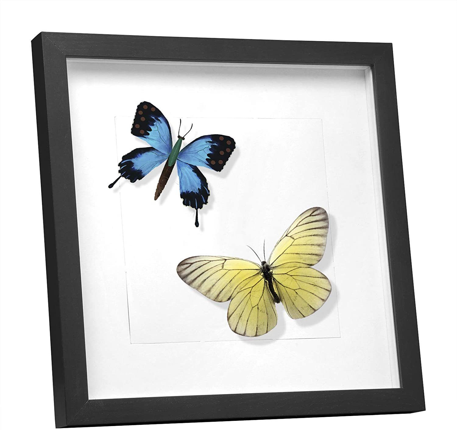 EUGAD Bilderrahmen, (1 St), Holzrahmen mit Papier-Passepartout, Glasscheibe günstig online kaufen