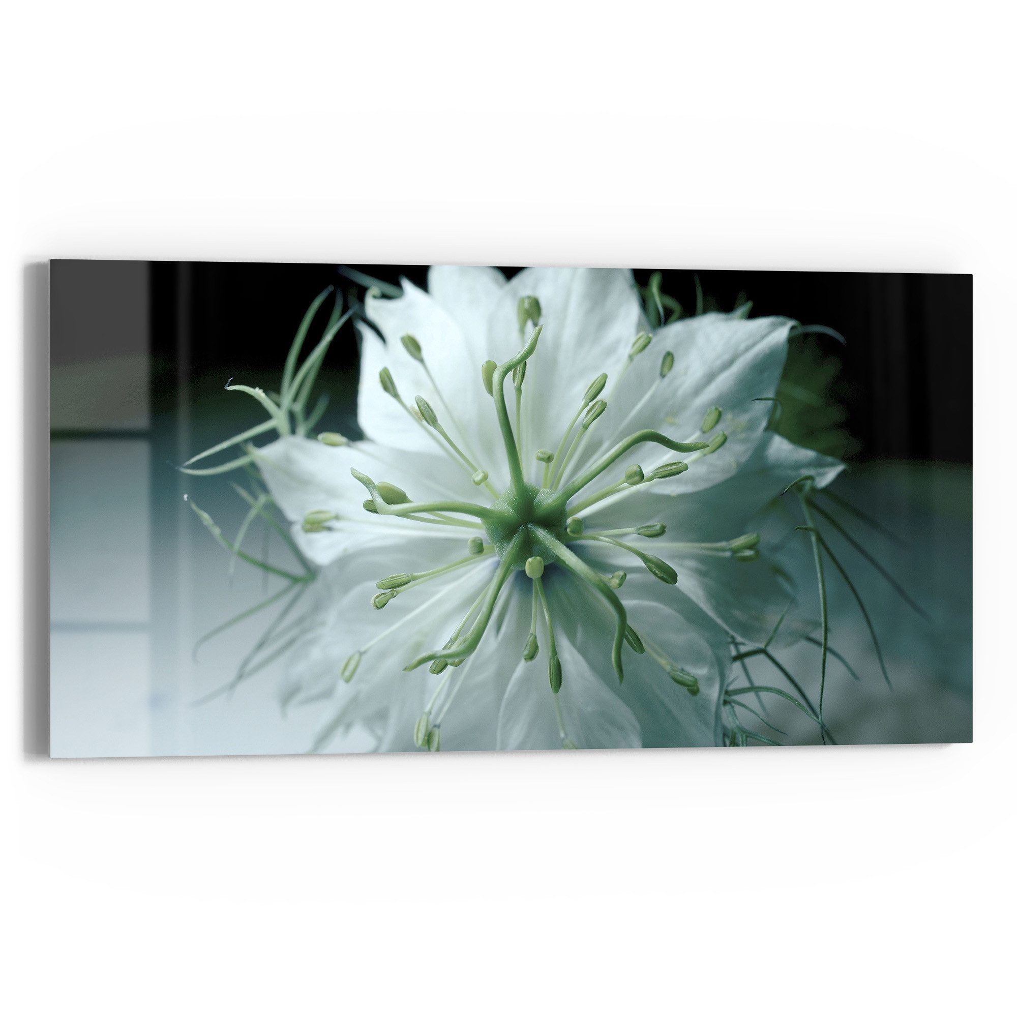 DEQORI Glasbild 'Stille Schönheit', 'Stille Schönheit', Glas Wandbild Bild schwebend modern