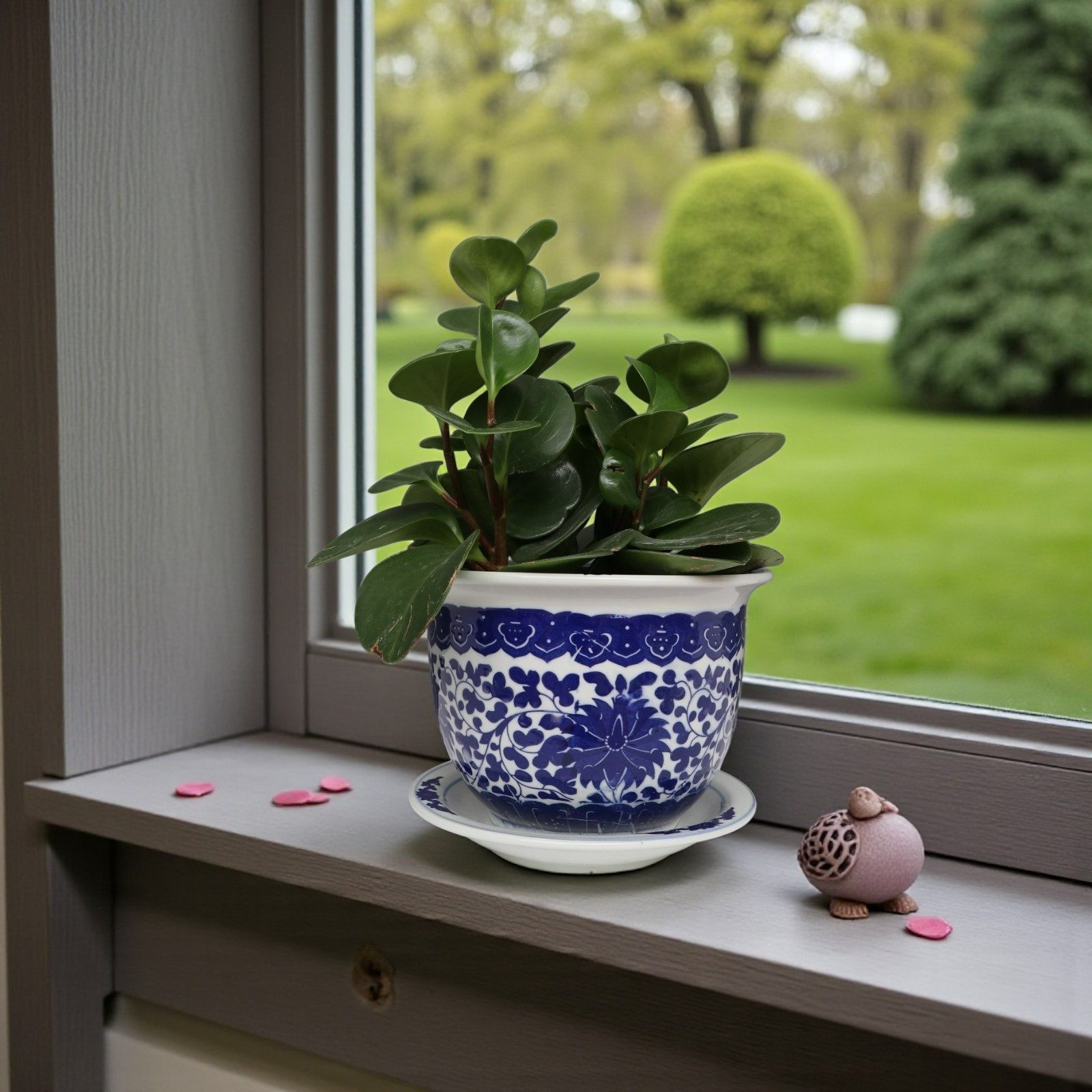 Yajutang Topfpflanze