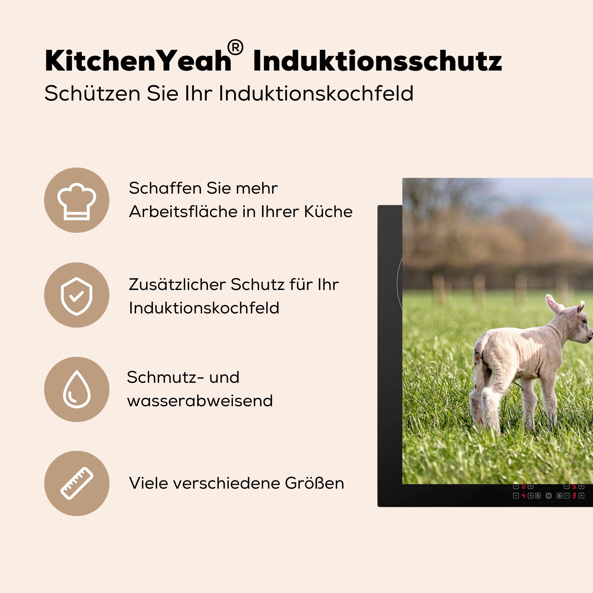 küche, MuchoWow Vinyl, Schafe Induktionskochfeld - für Schutz - Ceranfeldabdeckung Gras, (1 cm, die 81x52 tlg), Herdblende-/Abdeckplatte Sonne