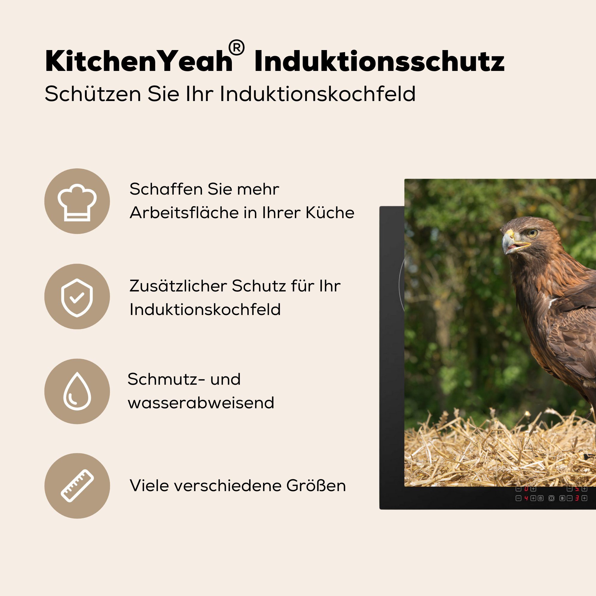 81x52 Ceranfeldabdeckung Schutz Vinyl, Herdblende-/Abdeckplatte für küche, sitzt in seinem cm, tlg), die MuchoWow Induktionskochfeld Steinadler Nest, (1