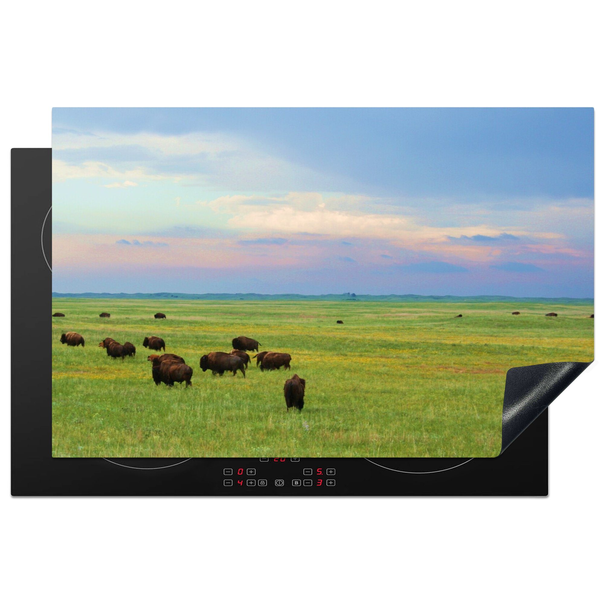 MuchoWow Herdblende-/Abdeckplatte Bisons spazieren im Gras in Nebraska, Vinyl, (1 tlg), 81x52 cm, Induktionskochfeld Schutz für die küche, Ceranfeldabdeckung