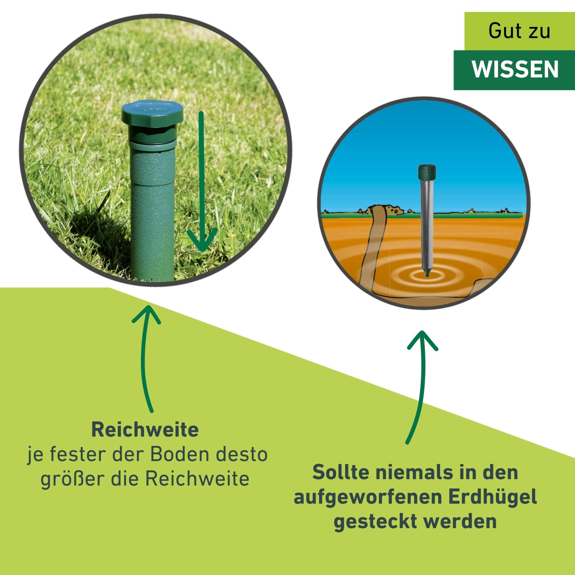 Windhager Ultraschall-Tierabwehr Maulfwurfschreck und Wühlmausvertreiber Classic, batteriebetrieben, Wirkungsbereich 600 m² mit niederfrequenten Schallwellen – Bild 3 von 5