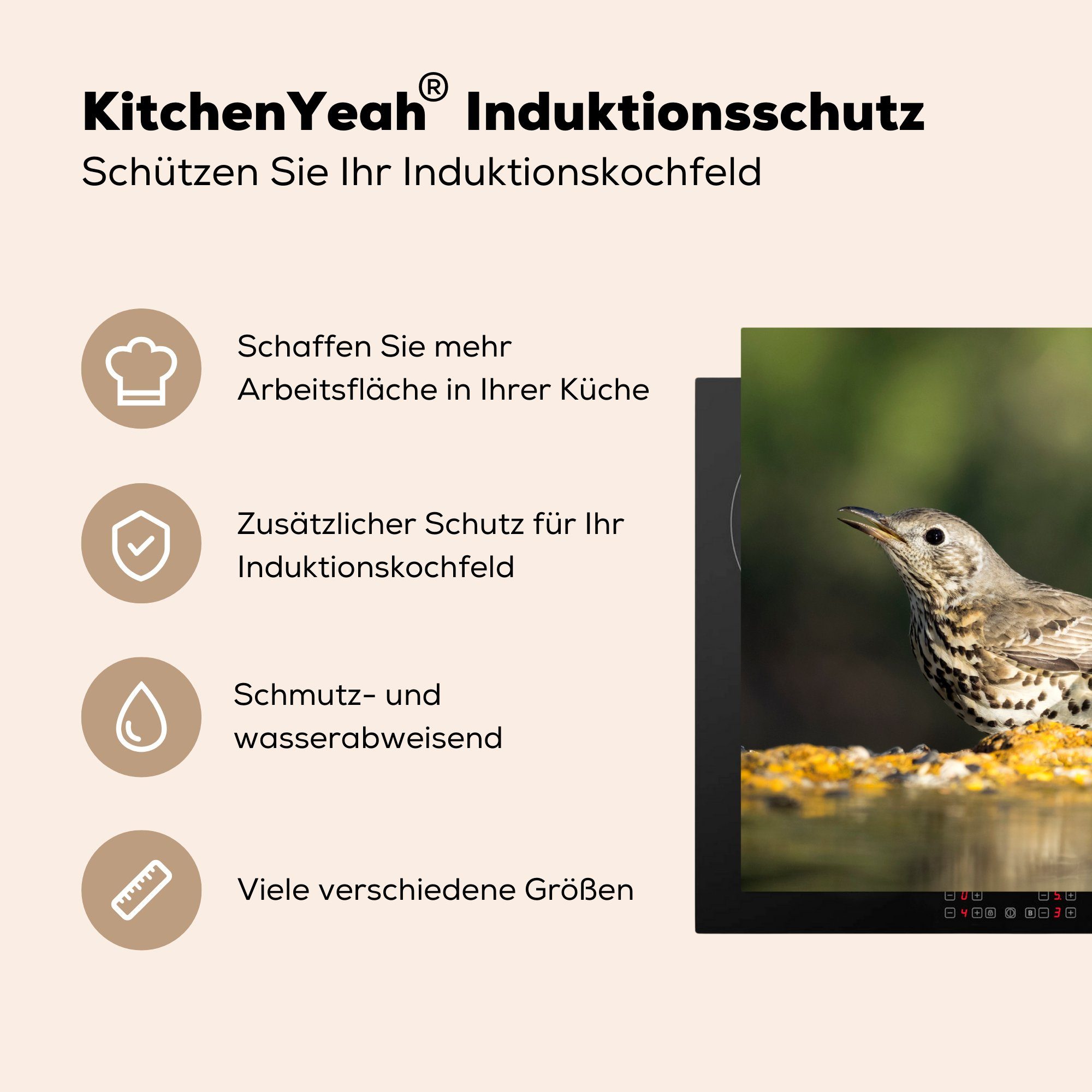 MuchoWow Herdblende-/Abdeckplatte Misteldrossel mit Vinyl, für Ceranfeldabdeckung tlg), Schutz (1 Wasser, küche, am cm, anderem Induktionskochfeld Vogel 71x52 die