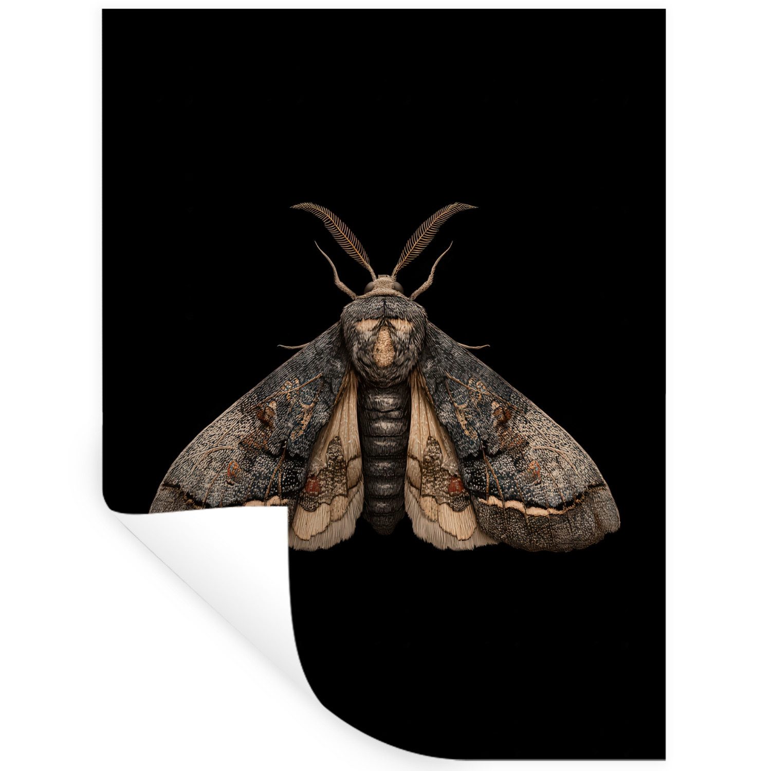 MuchoWow Wandsticker Motte - Blättrig - Grau (1 St), Wanddeko, Aufkleber, Wandtattoo, 90x120 cm