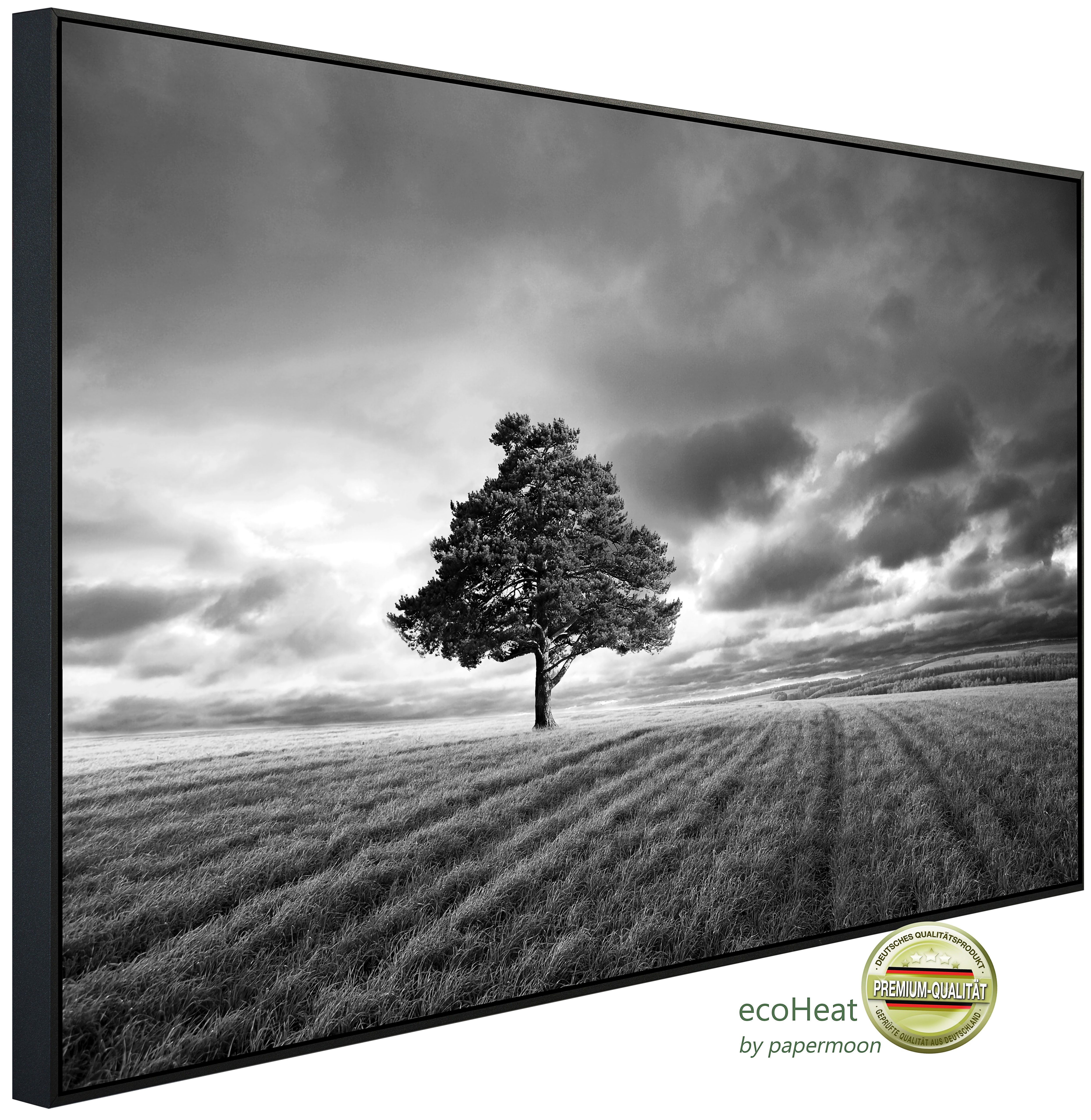 Papermoon Infrarotheizung INFRAROT-BILD-HEIZUNG, Landschaft schwarz & weiß, TÜV-Rheinland/GS zertifiziert, angenehme Strahlungswärme