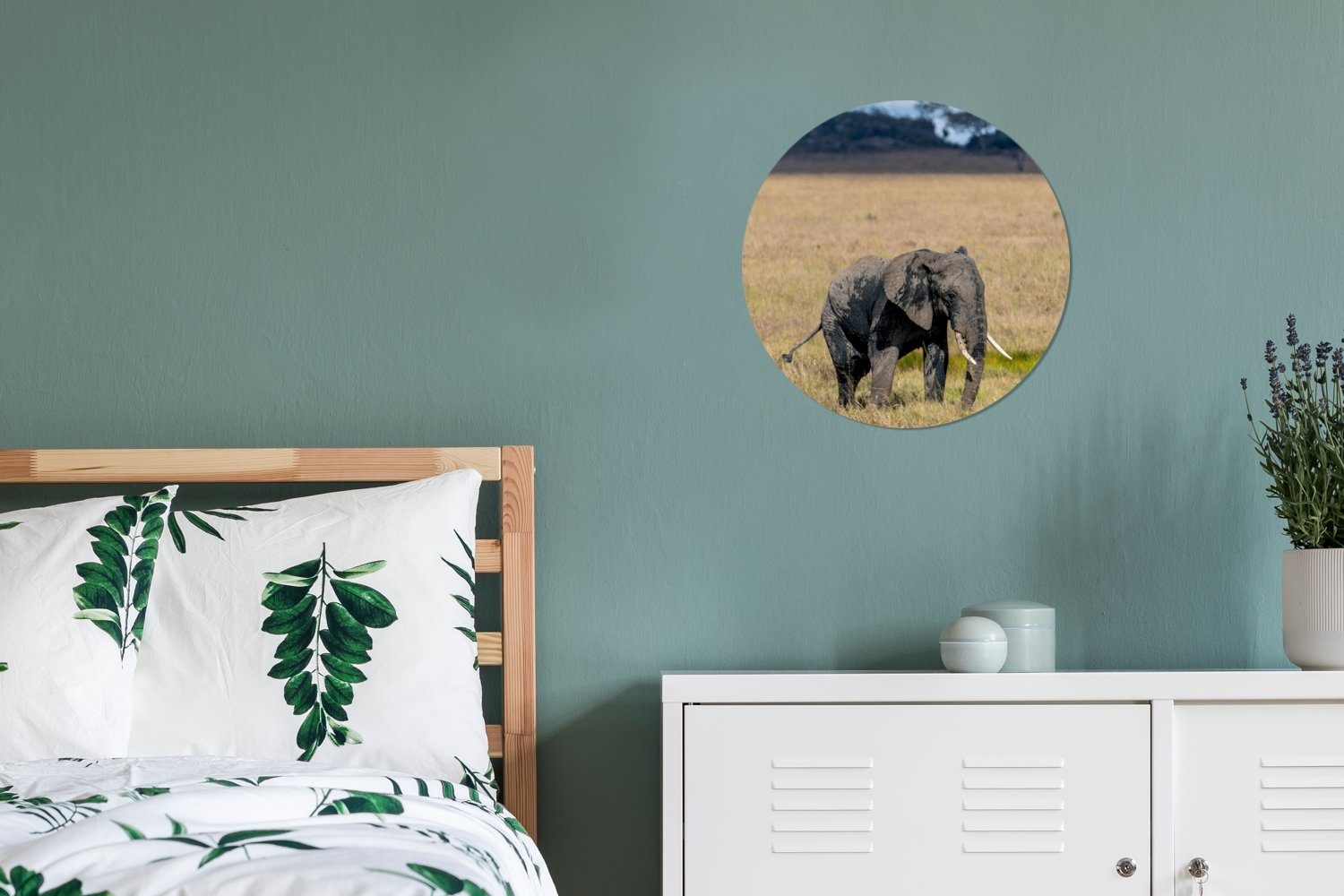 Forex, (1 Wandbild, MuchoWow Elefant Gemälde St), Wohnzimmer, - Natur, Rundes Tiere - 30x30 Kreis Gras Wanddekoration - cm