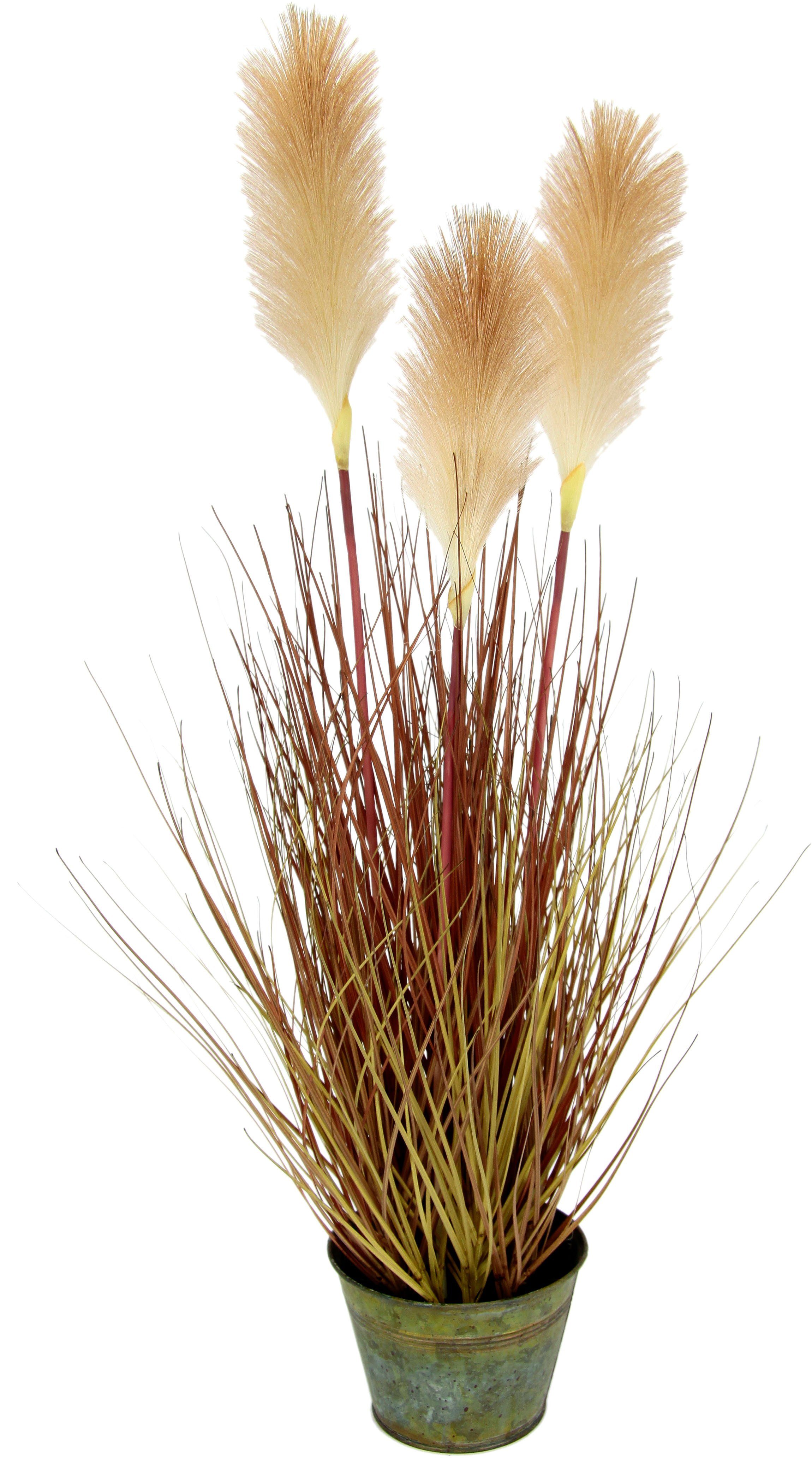 Kunstpflanze »Pampasgras«, I.GE.A., Höhe 75 cm, Im Metalltopf