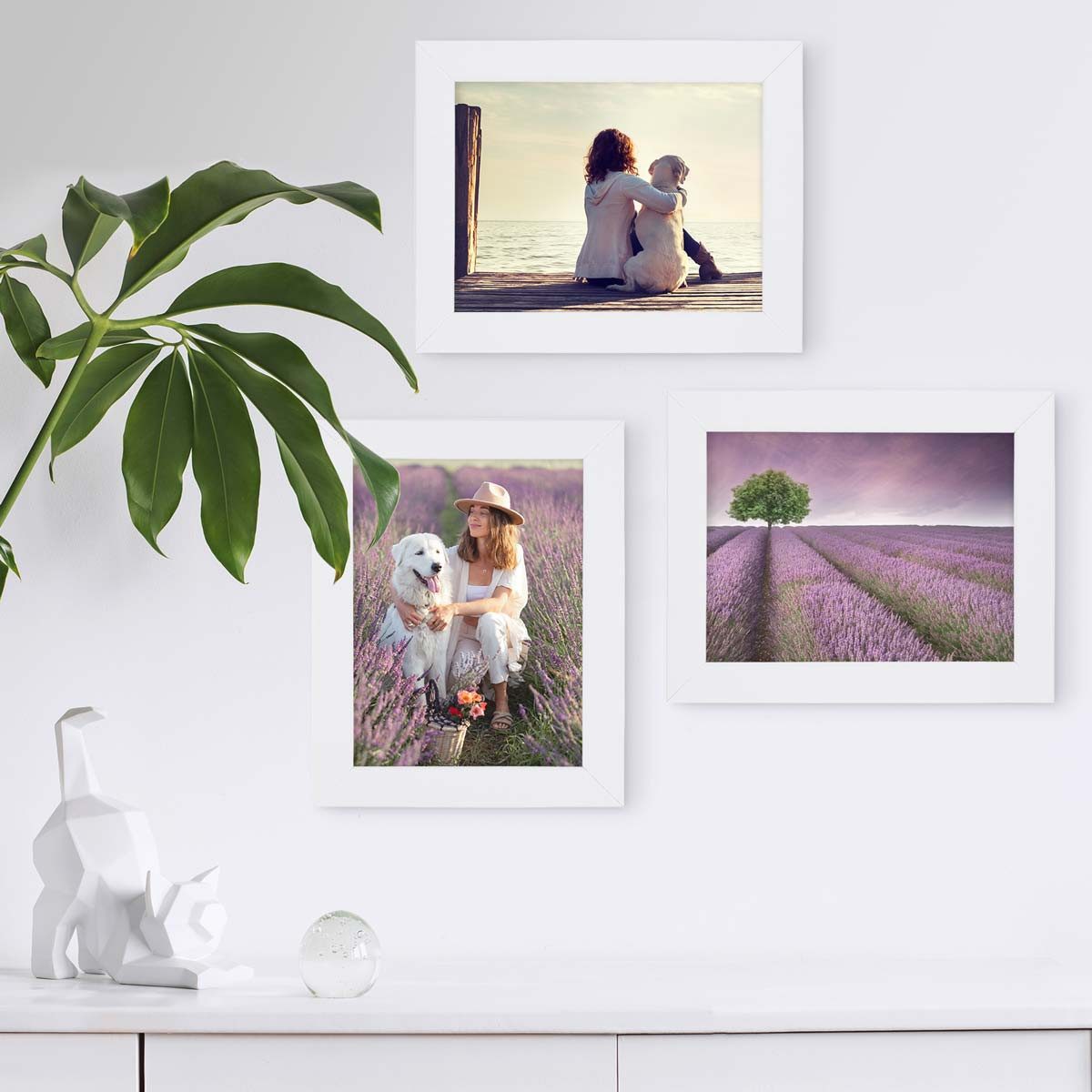 PHOTOLINI Bilderrahmen 3er Set breite Rahmen, günstig online kaufen