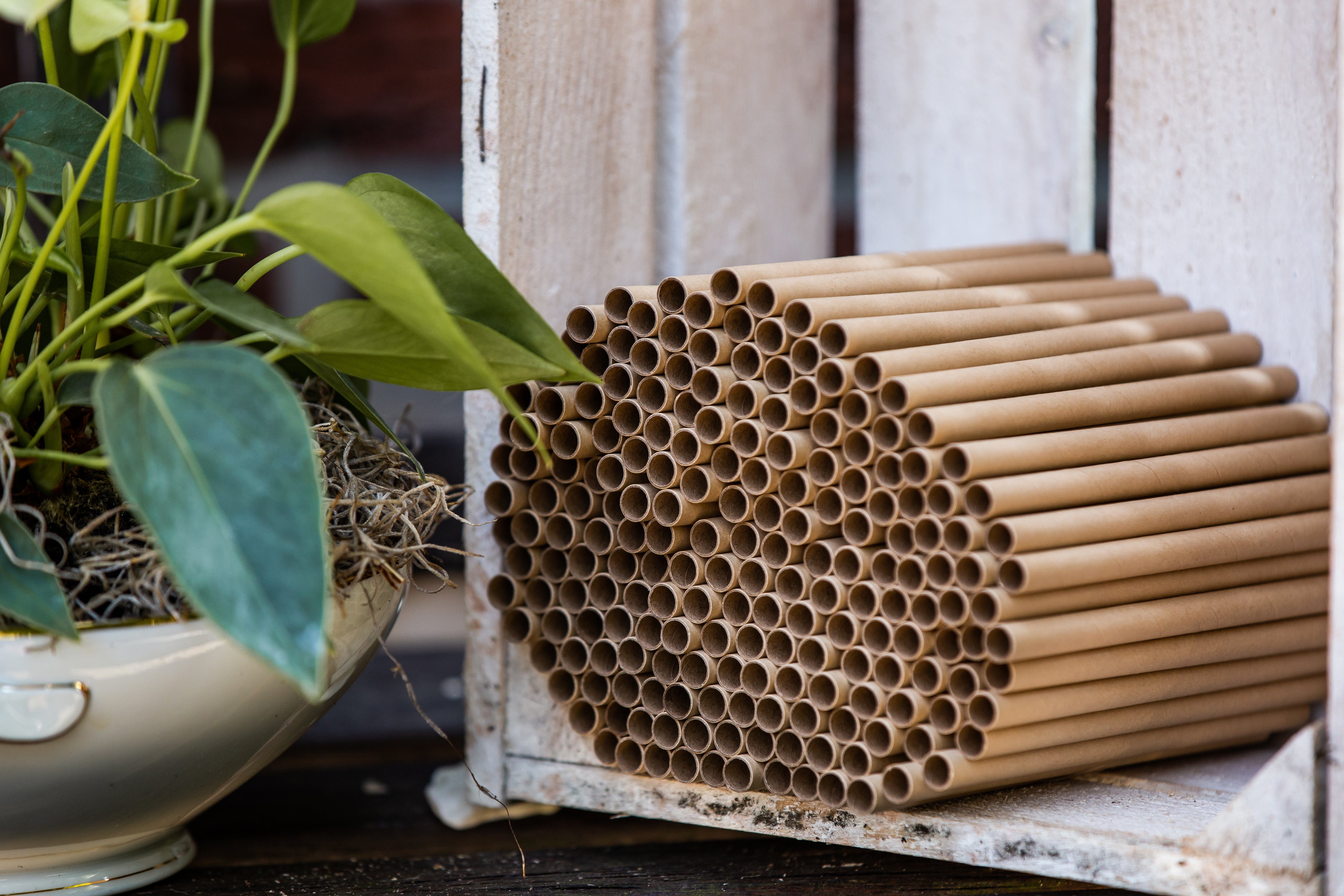 Cult at Home Insektenhotel 200 Nisthülsen Ø 6 mm - Füllmaterial zum Bauen und Basteln