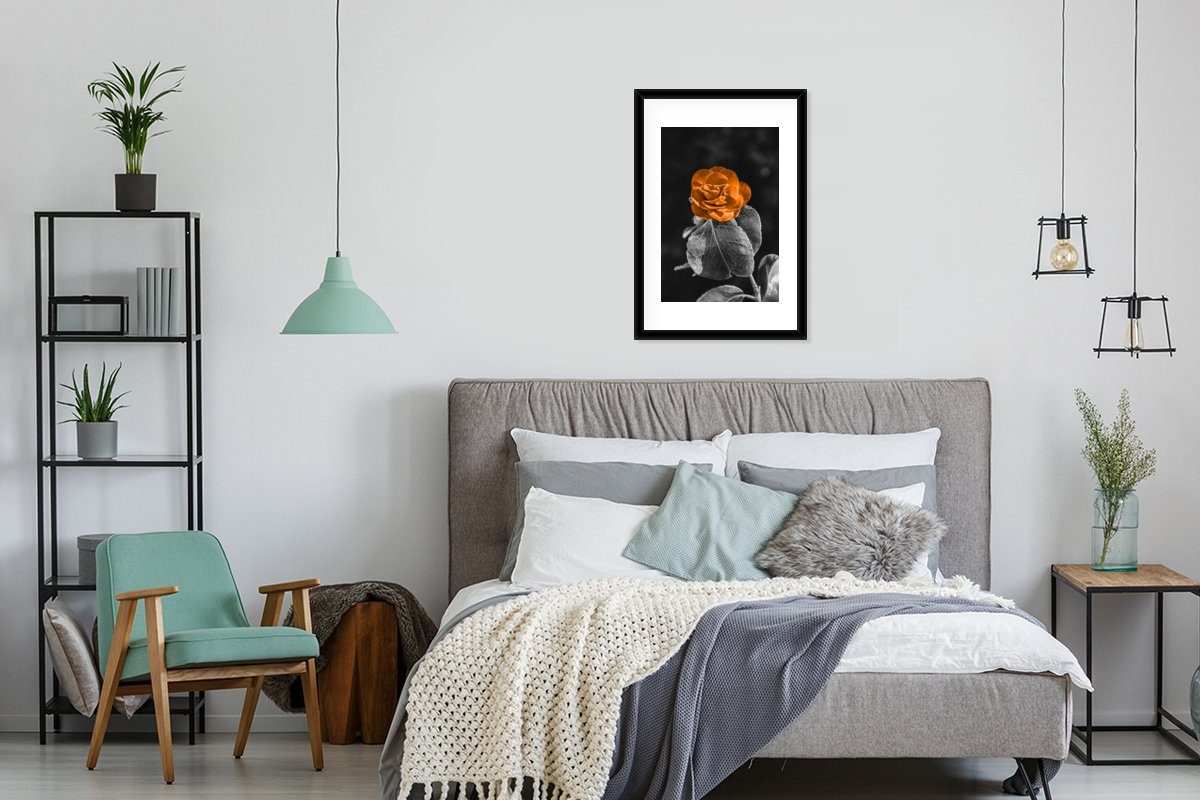 MuchoWow Poster Blumen - Rosen Orange - St), Gerahmtes Schwarzem Weiß, Poster, Kunstdruck, Bilderrahmen - Schwarz - Rahmen, mit (1
