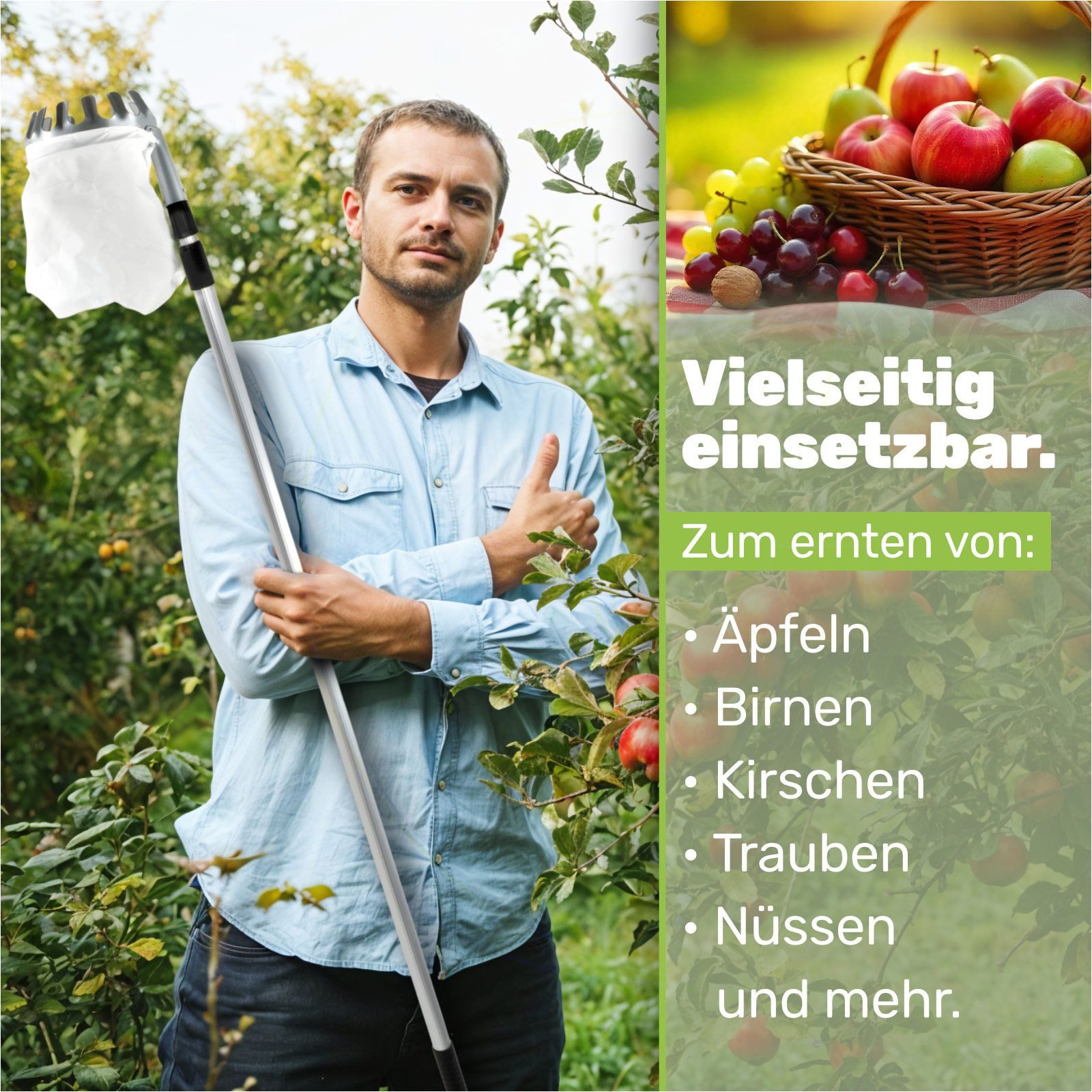 Gravidus Obstpflücker Praktischer Obstpflücker mit Teleskopstange Ideal für Äpfel und Birnen
