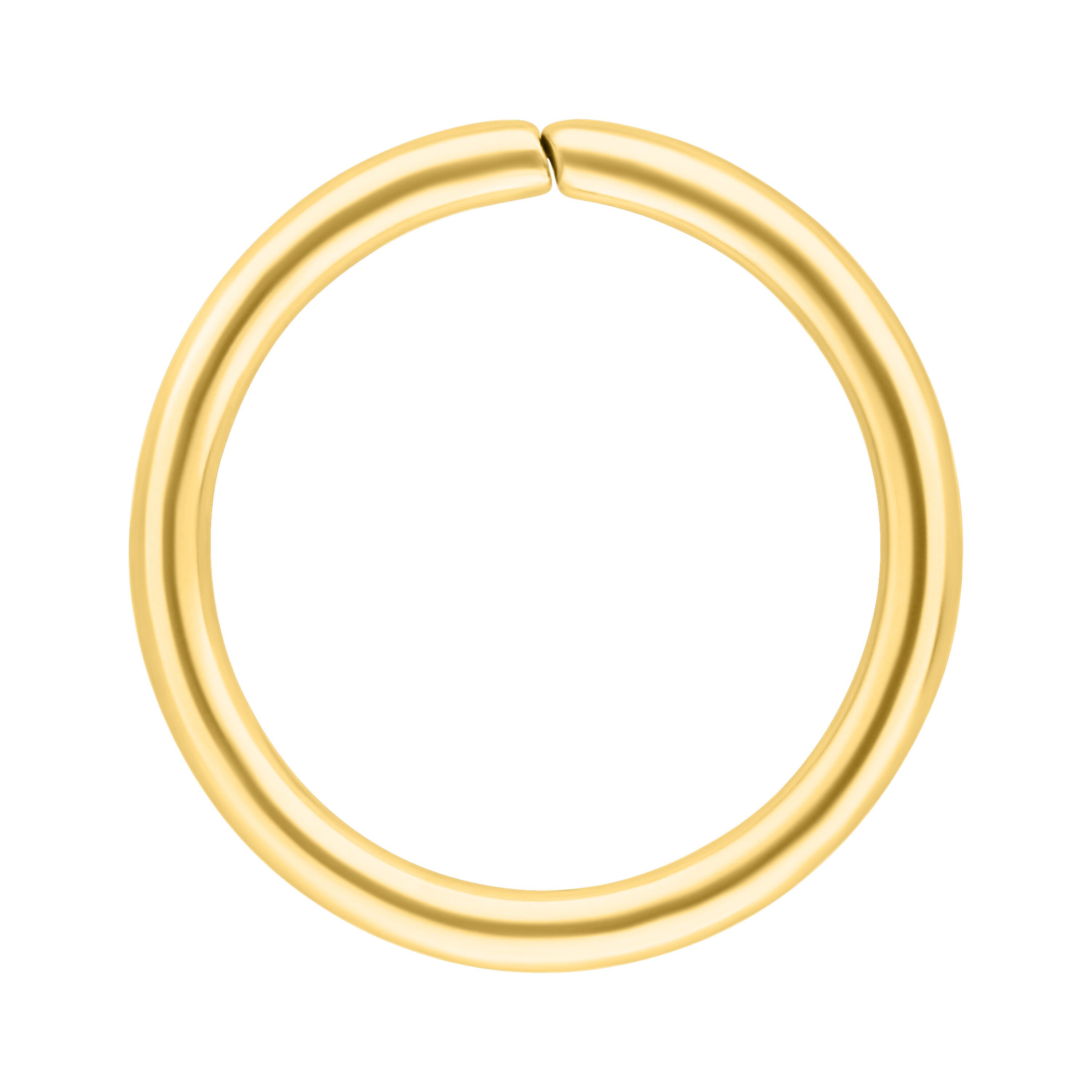 Wildcat Nasenpiercing Ring Continuous/ Seamless für Ohr, Nase, 1 Stück, Chirurgenstahl 316L - wasserfest, hautverträglich, Gold