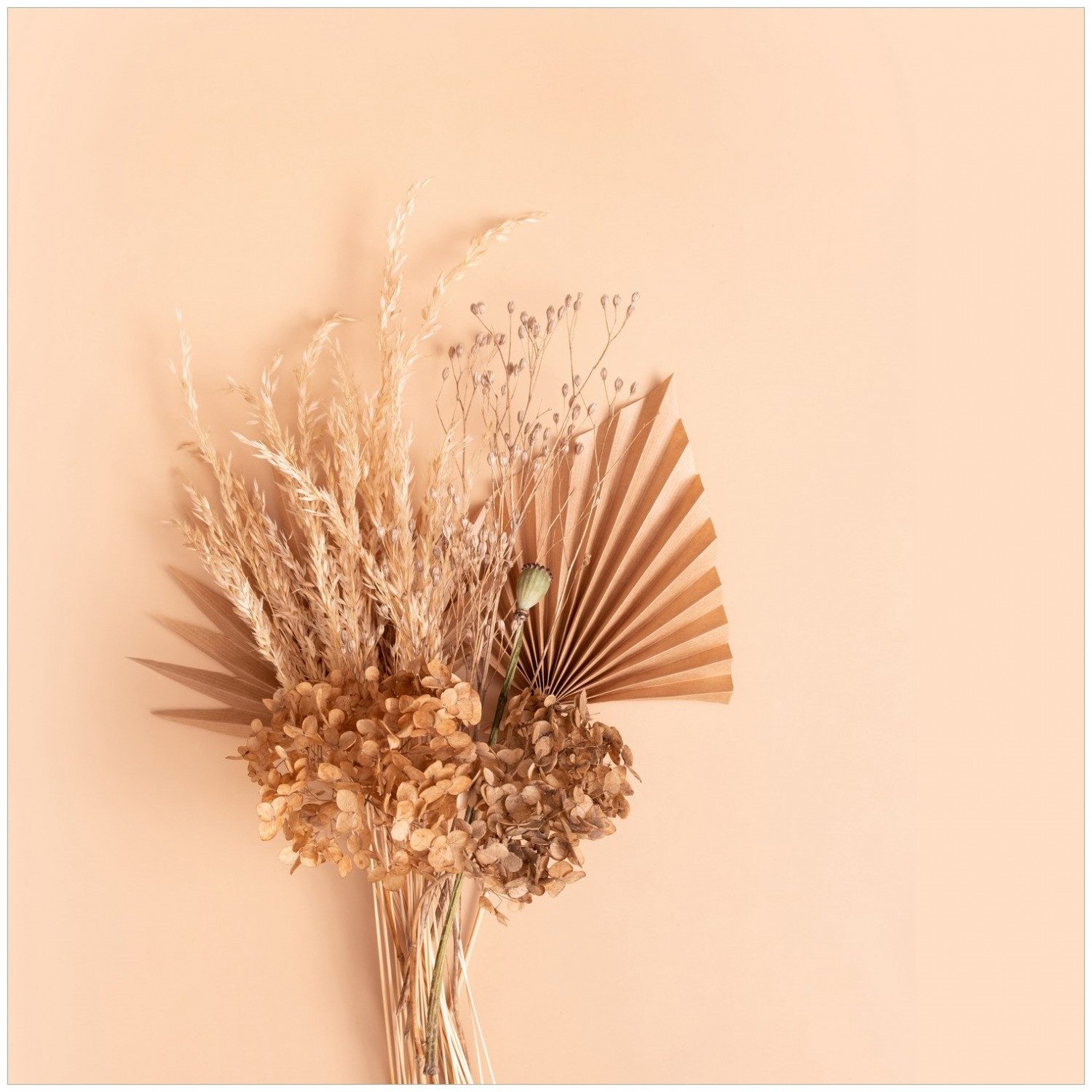 Wallario Möbelfolie Trockenblumenarrangement