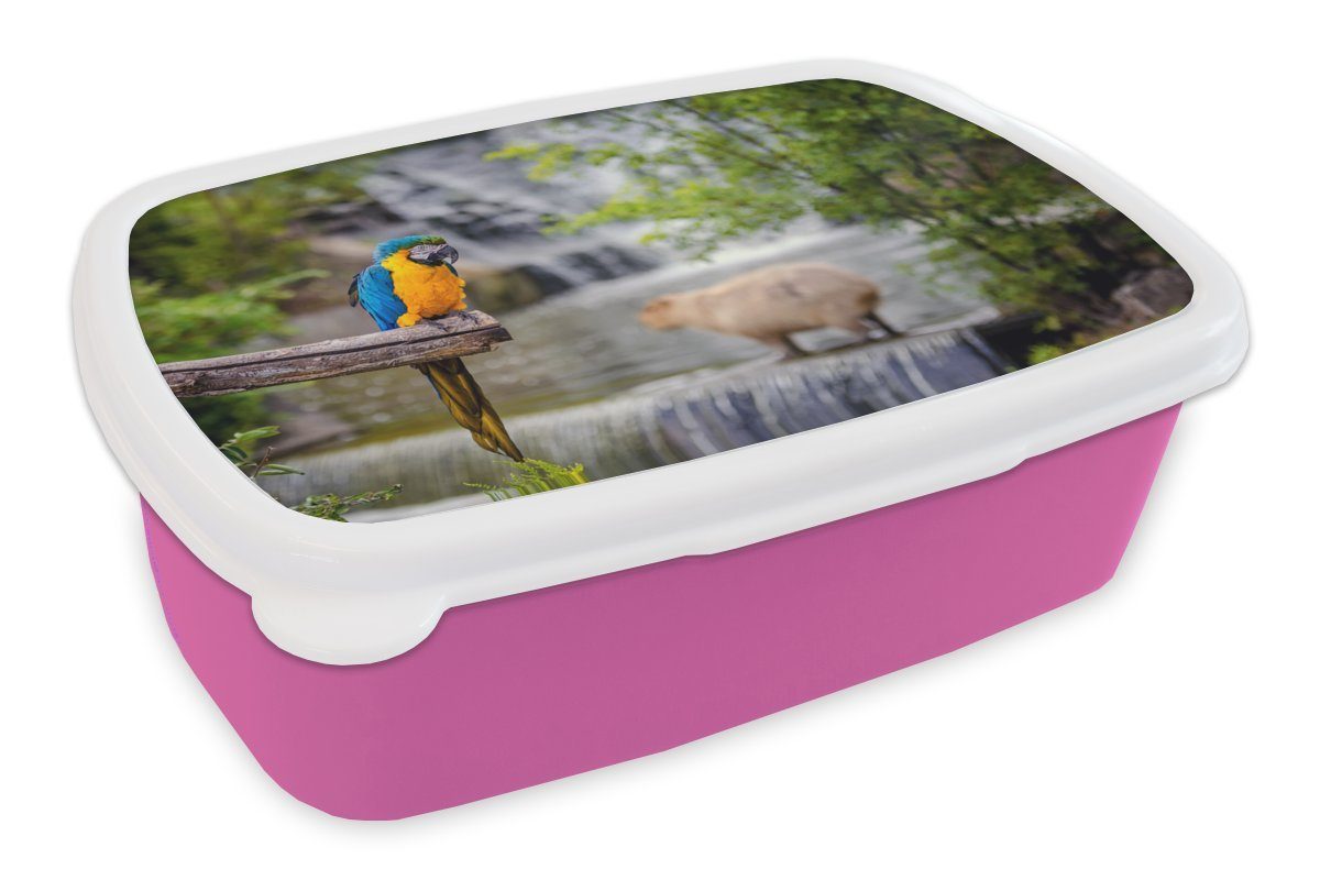 MuchoWow Lunchbox Kunststoff (2-tlg), Snackbox, Blauer und Ara Mädchen, Kunststoff, Erwachsene, rosa für Wasserschwein, Kinder, Brotdose Brotbox
