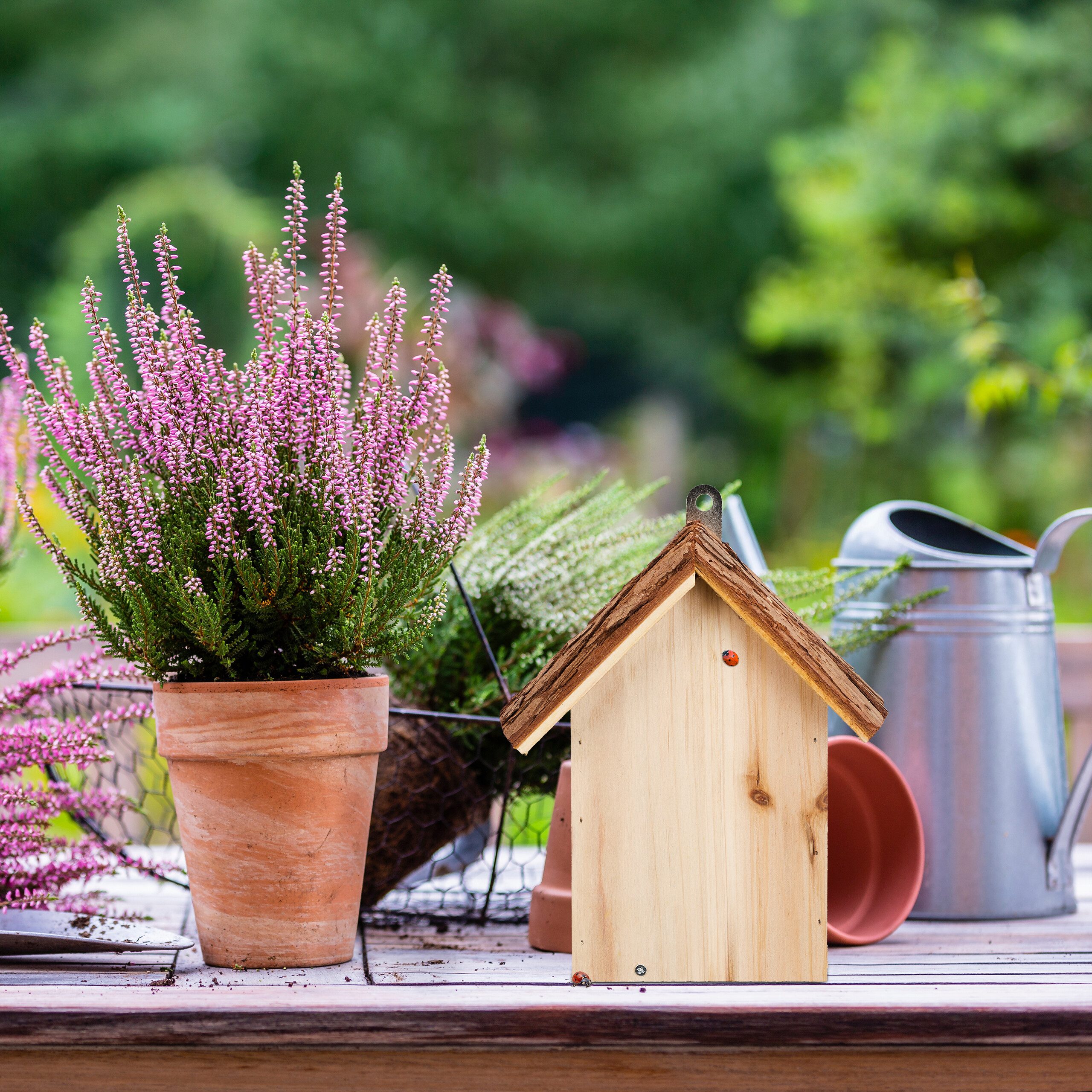 relaxdays Insektenhotel Marienkäferhaus aus Holz