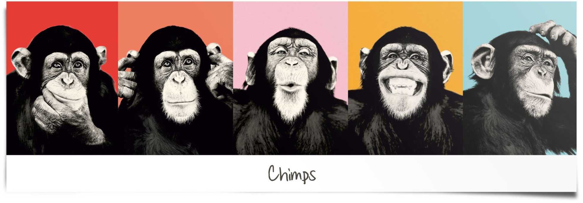 Leerung Reinders! Poster Schimpanse Pop, (1 St)