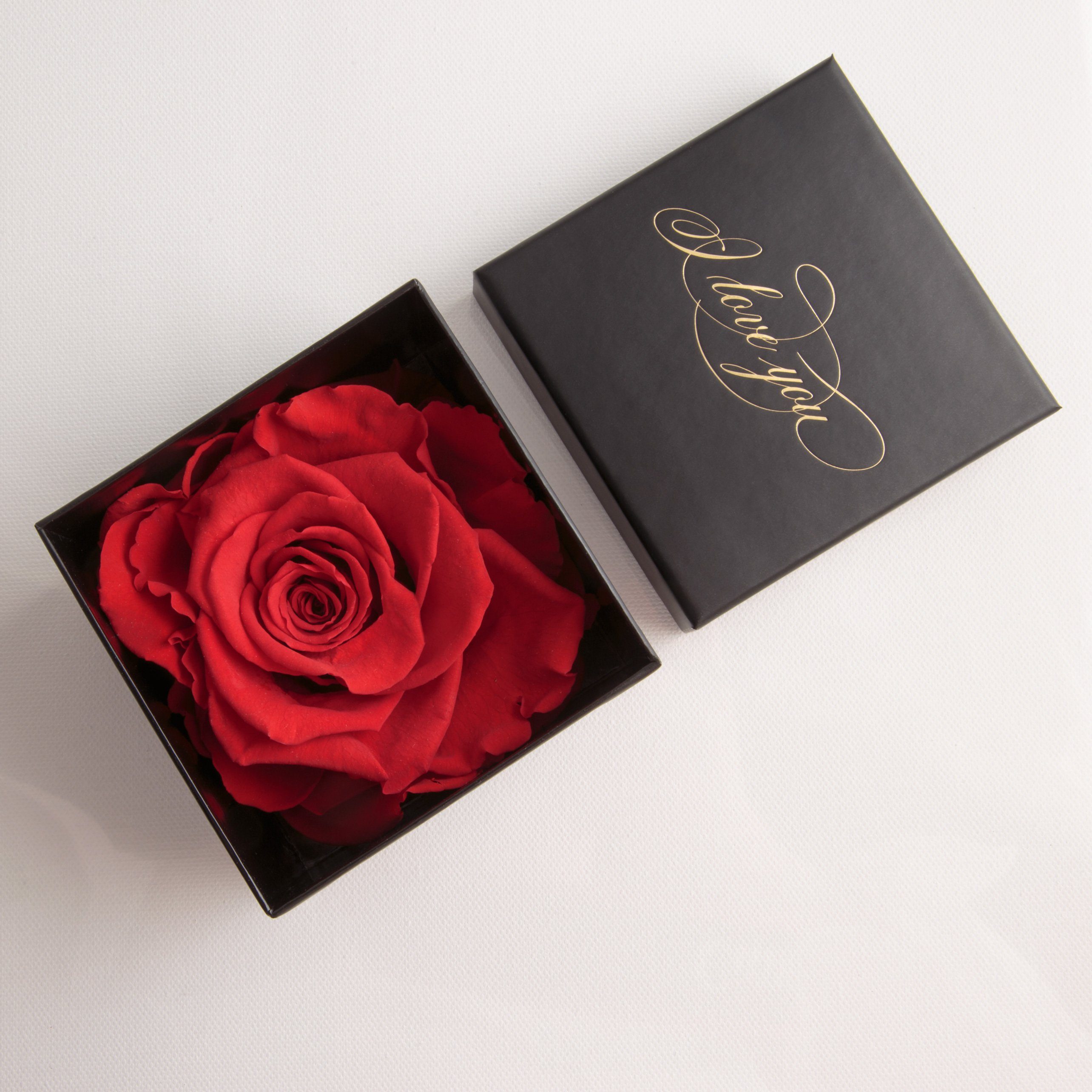 Kunstblume Idee konserviert Geschenk Echte 6 Rose Rose, Infinity Liebesbeweis cm, Höhe Rot ROSEMARIE SCHULZ Box Rose I Heidelberg, Love You