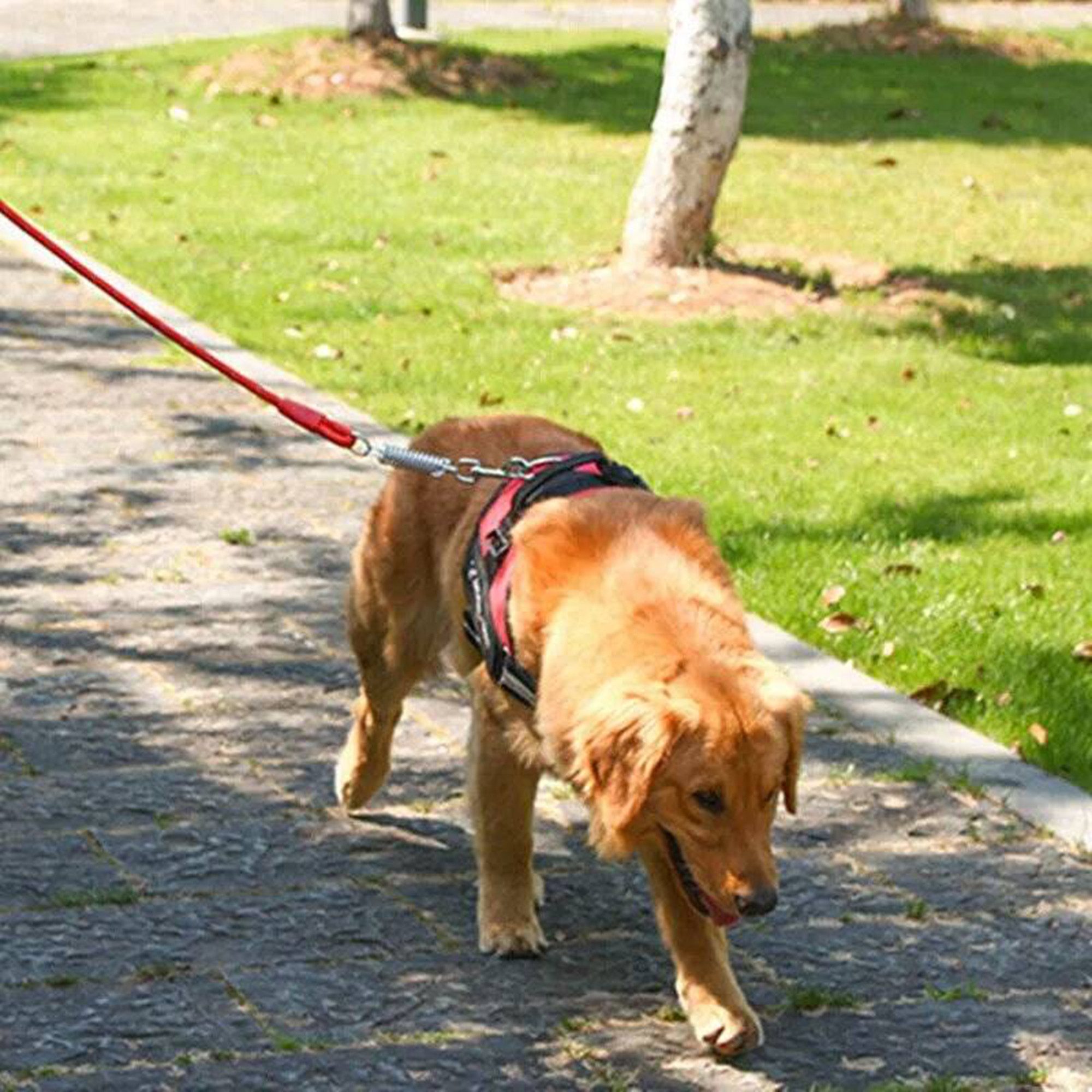 MC Star Hunde-Geschirr Hundegeschirr Brustgeschirr Hunde günstig online kaufen
