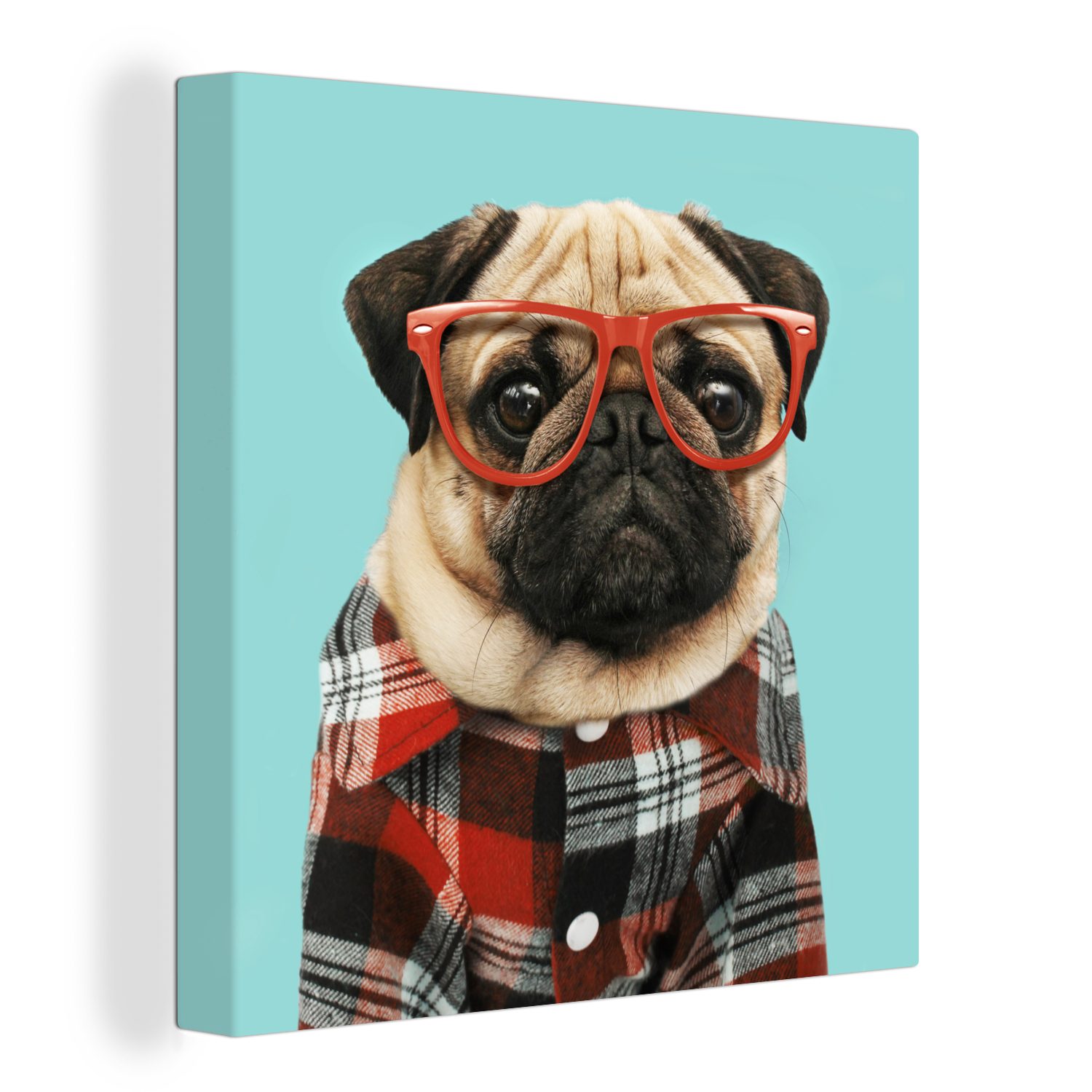 - Schlafzimmer St), für OneMillionCanvasses® - Wohnzimmer Bilder Brille Leinwand Hipster Leinwandbild Hund - Bluse, (1