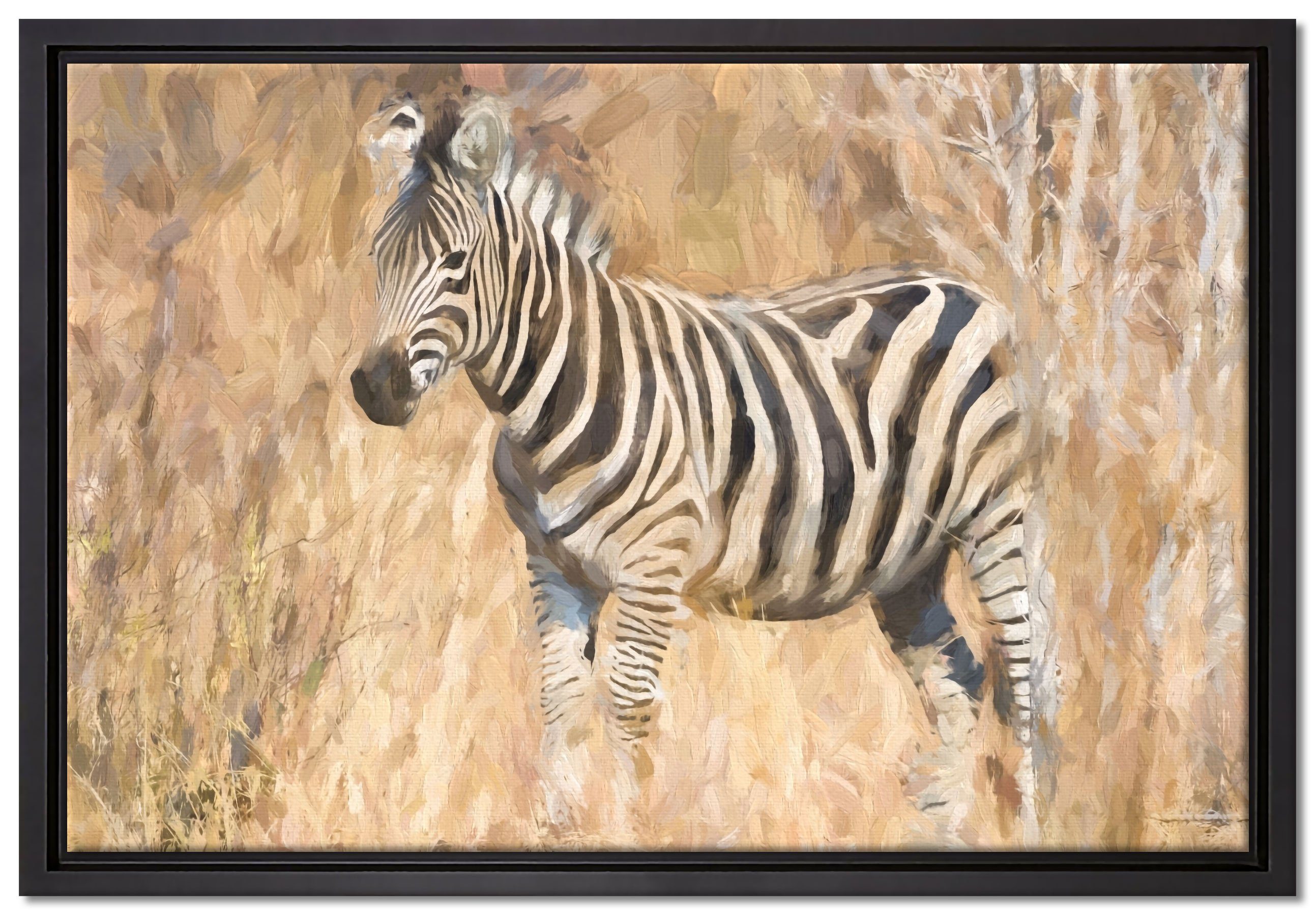 Pixxprint Leinwandbild Anmutiges Zebra in Savanne, Wanddekoration (1 St), Leinwandbild fertig bespannt, in einem Schattenfugen-Bilderrahmen gefasst, inkl. Zackenaufhänger