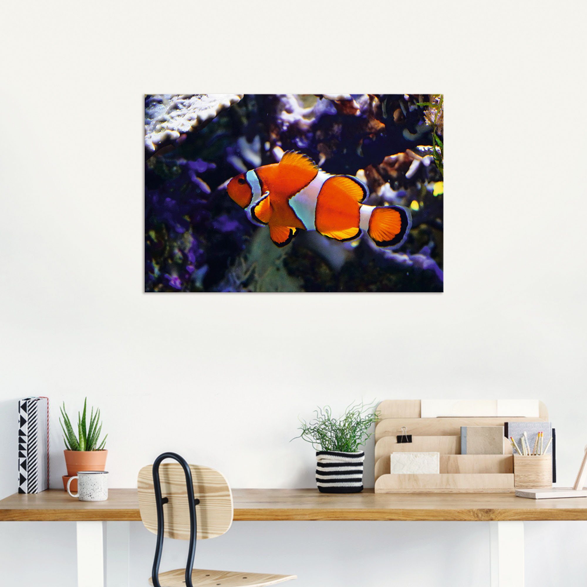 Artland Wandbild Clownfisch, Wassertiere (1 St), als Alubild, Leinwandbild,  Wandaufkleber oder Poster in versch. Größen