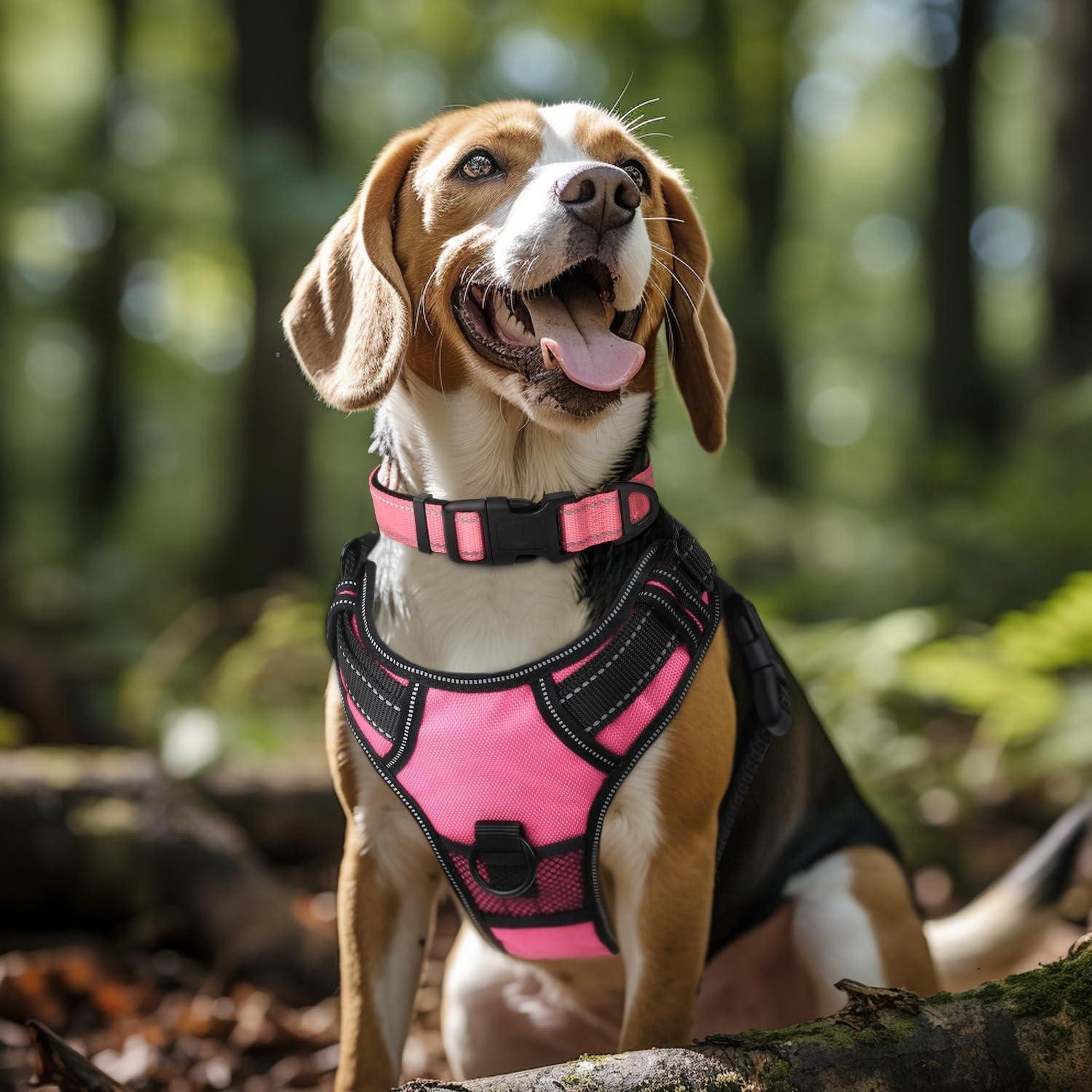 LuxusKollektion Hunde-Halsband Hundehalsband Neopren Nylon Verstellbar Große Hunde XL (1er Pack) Pink