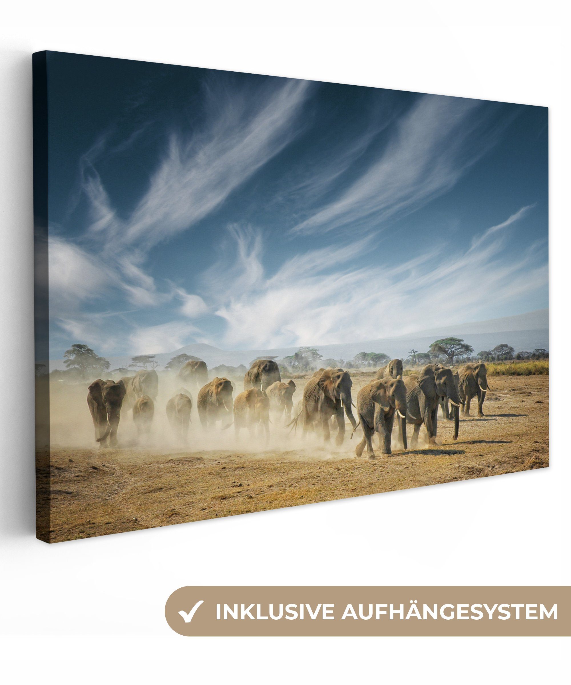 (1 Elefanten - Tiere Aufhängefertig, 30x20 - Landschaft cm Leinwandbilder, St), Wanddeko, Natur, Wandbild OneMillionCanvasses® - Leinwandbild
