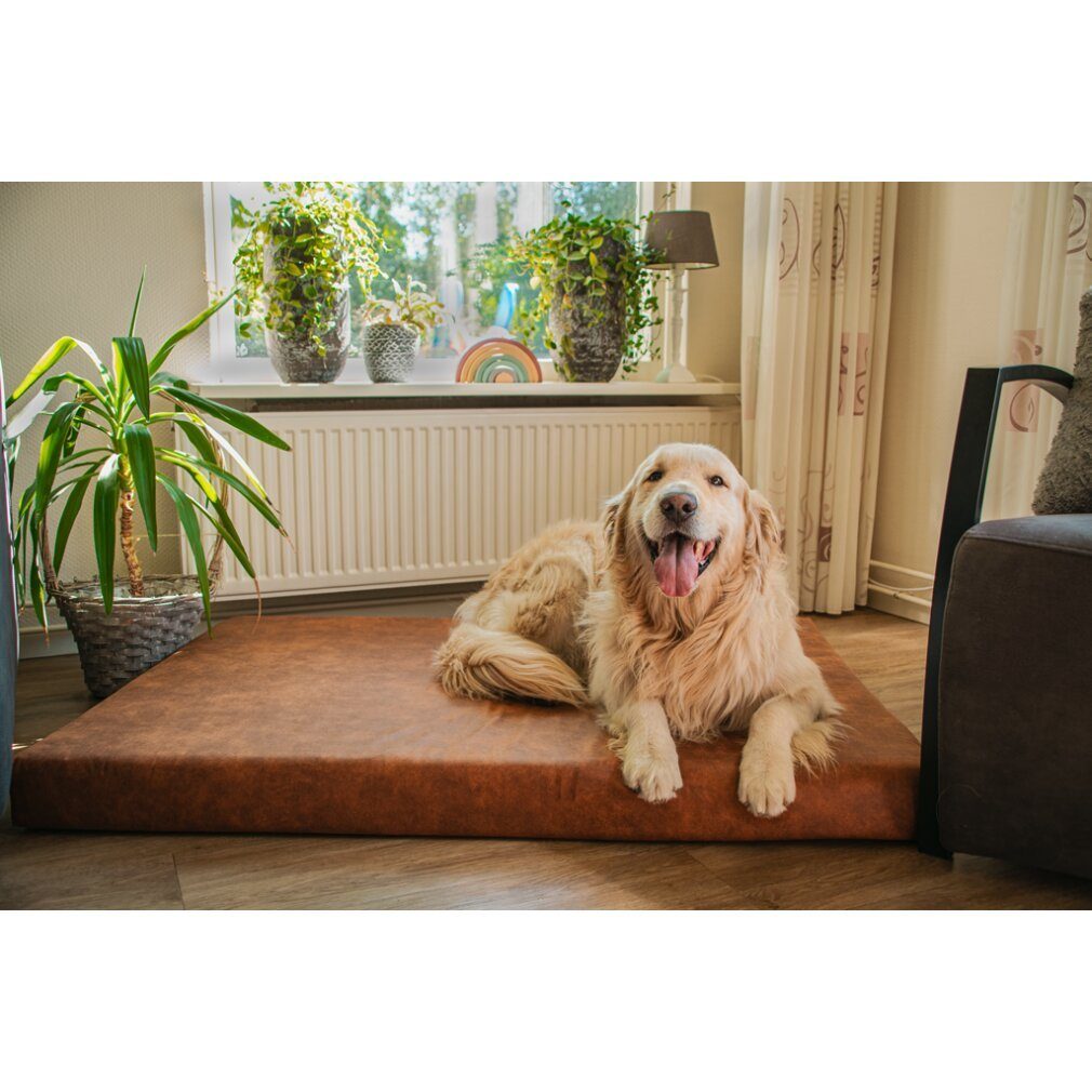Holland Animal Care Tierkissen Let's Sleep Mellow Mattress Orthopädisches Bett XL Taupe