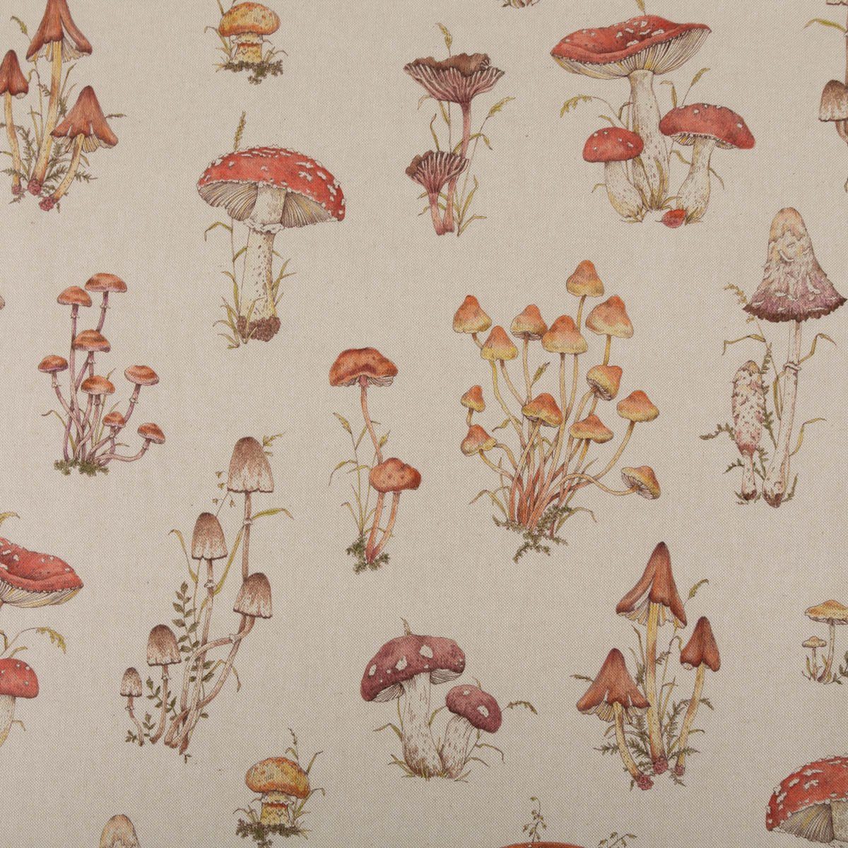 Stoff Dekostoff BW Digital Mushroom Pilze 1,40m Breite, Digitaldruck