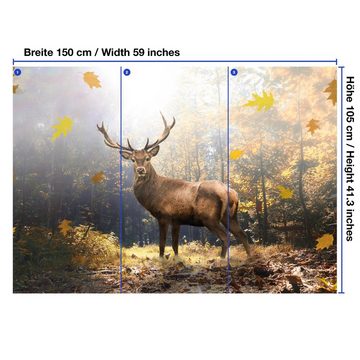 wandmotiv24 Fototapete Hirsch im Herbstlichen Wald, glatt, Wandtapete, Motivtapete, matt, Vliestapete