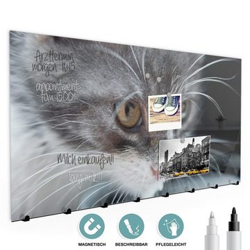 Primedeco Garderobenpaneel Magnetwand und Memoboard aus Glas Hungrige Katze