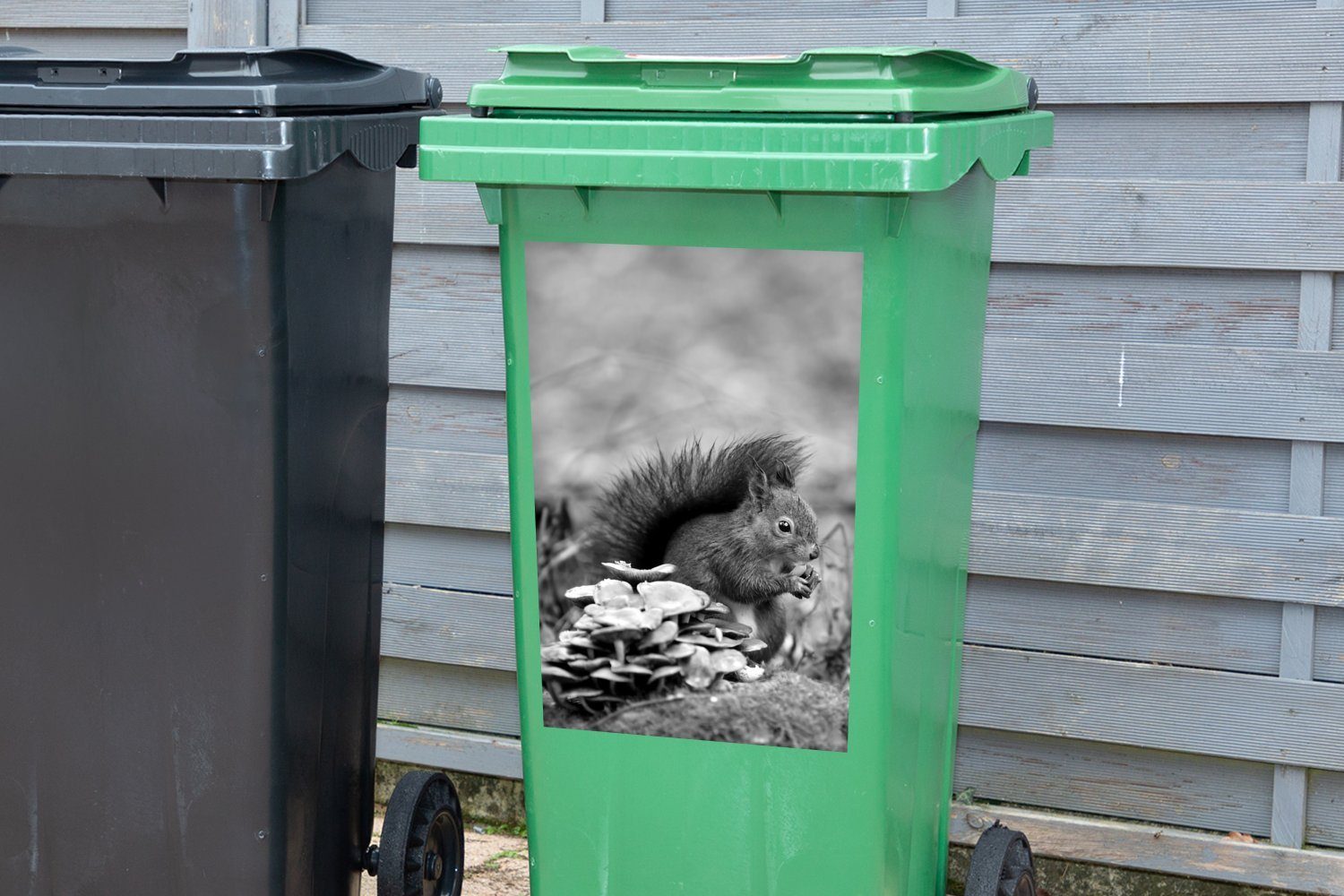 MuchoWow Wandsticker Eichhörnchen mit einer Abfalbehälter (1 Herbst und Mülleimer-aufkleber, Eichel schwarz - weiß Container, Sticker, im St), Mülltonne
