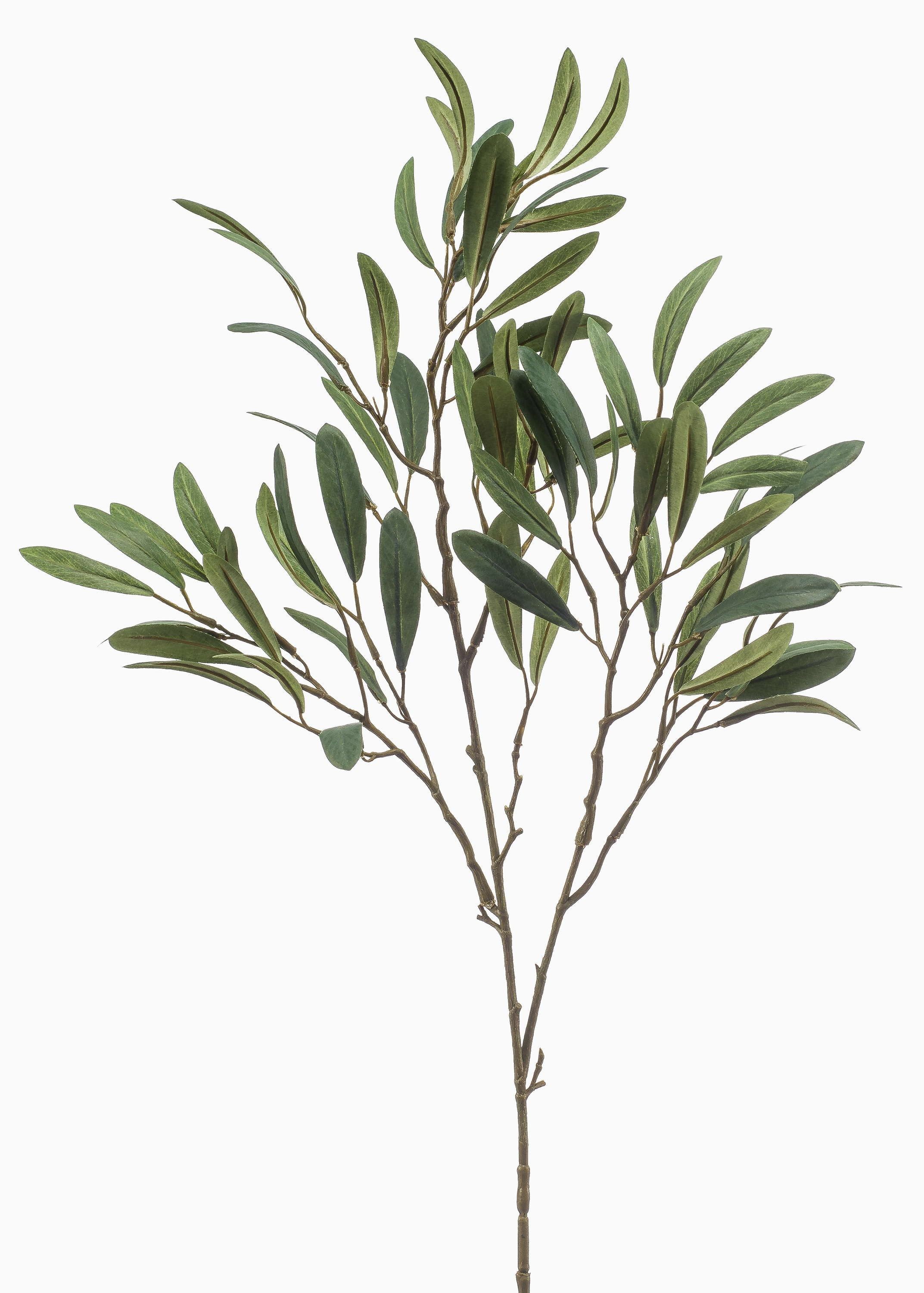 Kunstzweig Künstlicher Olivenzweig RIGELIO, 80cm Olivenbaum, artplants, Höhe 80.0 cm