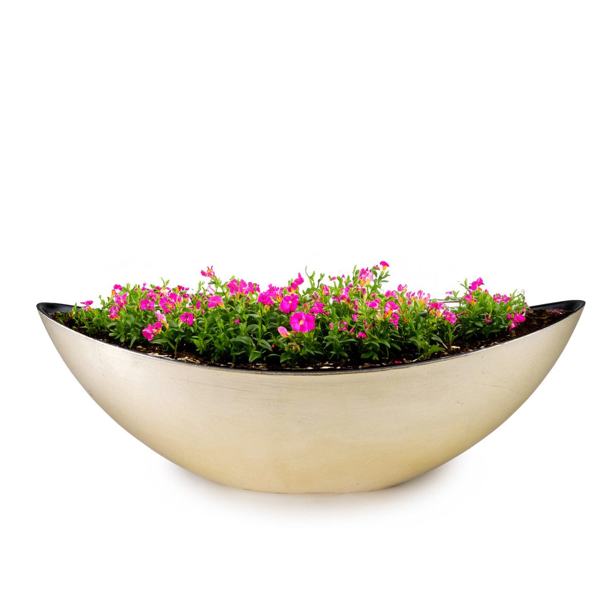 matches21 HOME & HOBBY Blumentopf Große ovale Pflanzschale Jardiniere 39 cm Champagner beige (1 St), Outdoor Schiff Deko-Schale als Blumen-Schale Pflanz-Topf Grab-Schmuck