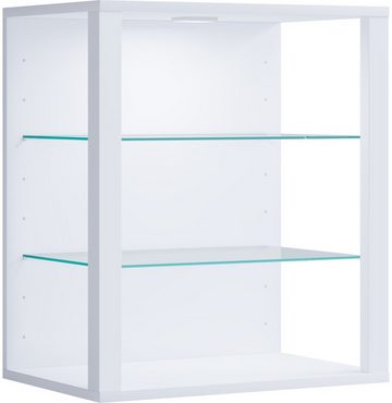 VCM Hängevitrine Holz Glas Stand Vitrine Sammelvitrine Glasol SW (1-St)