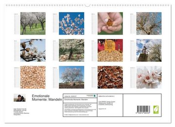 CALVENDO Wandkalender Emotionale Momente: Mandeln (Premium, hochwertiger DIN A2 Wandkalender 2023, Kunstdruck in Hochglanz)