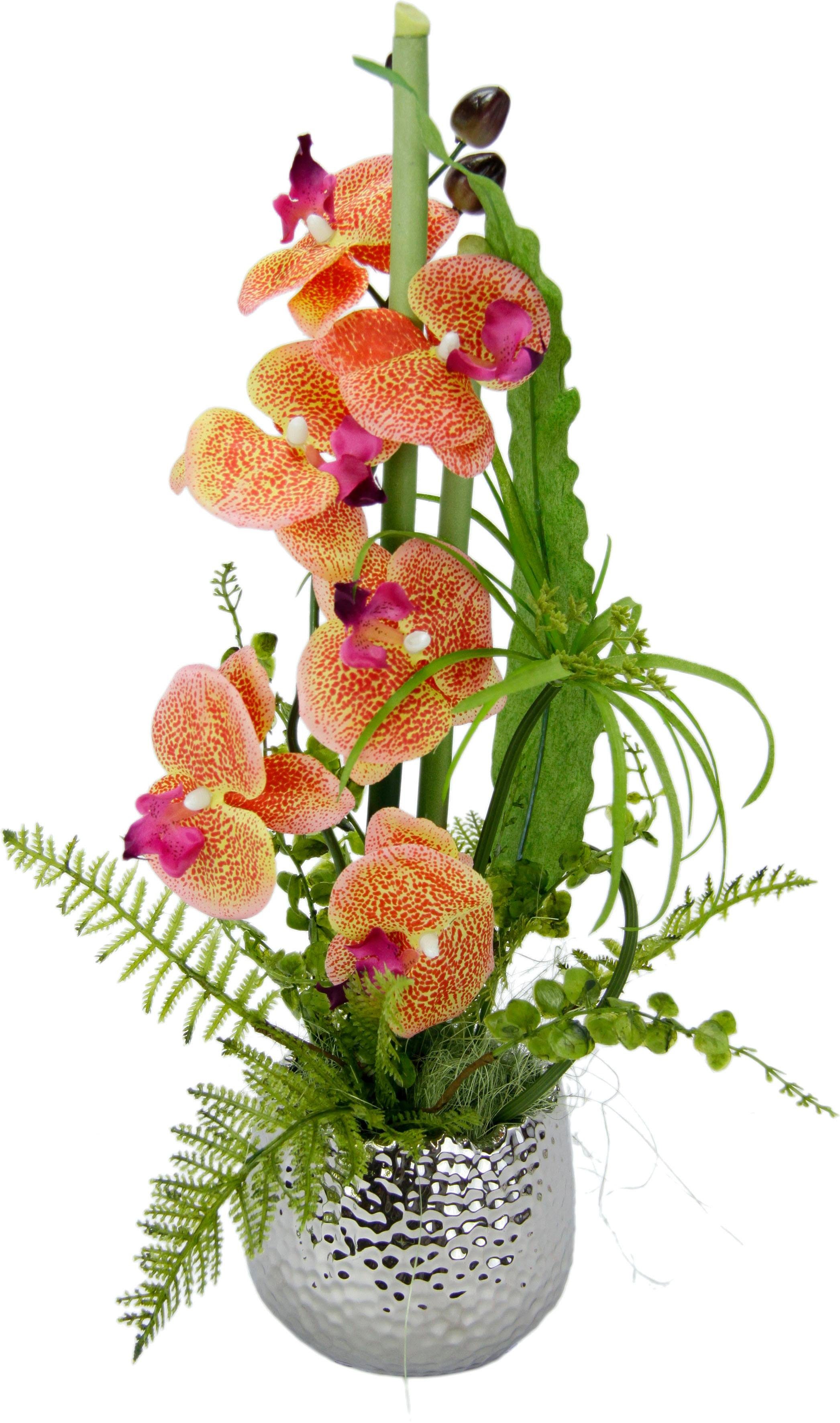 Kunstpflanze Orchidee, I.GE.A., Höhe 50 cm günstig online kaufen