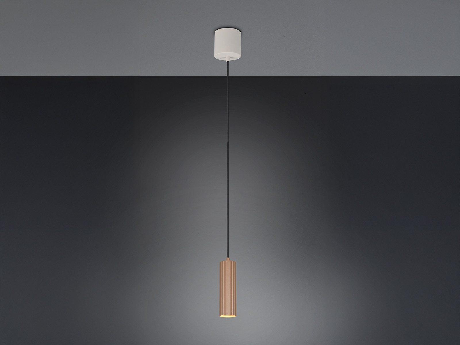 TRIO Leuchten LED Pendelleuchte, Dimmfunktion, LED günstig online kaufen
