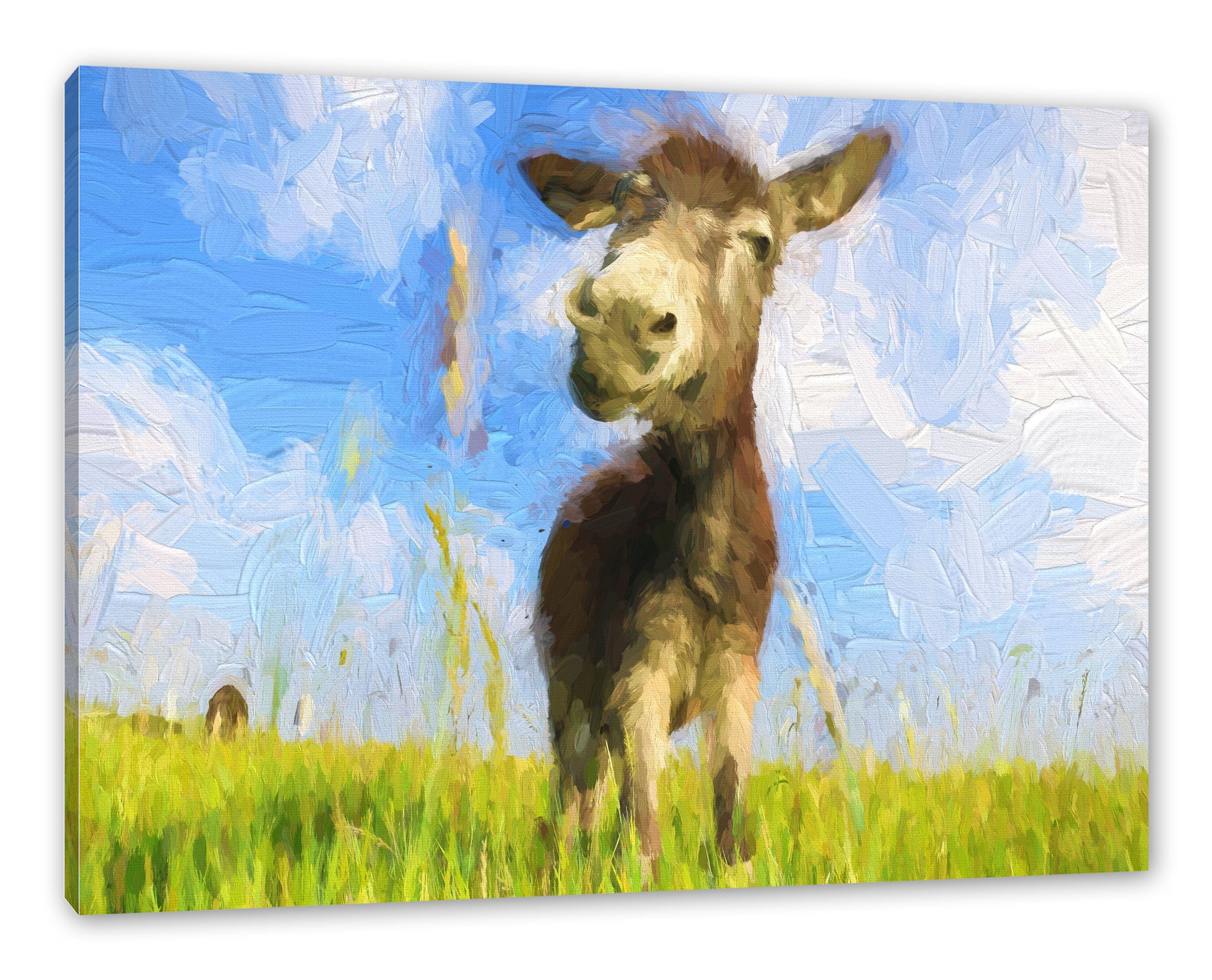 Pixxprint Leinwandbild Esel im Feld, Esel im Feld (1 St), Leinwandbild fertig bespannt, inkl. Zackenaufhänger