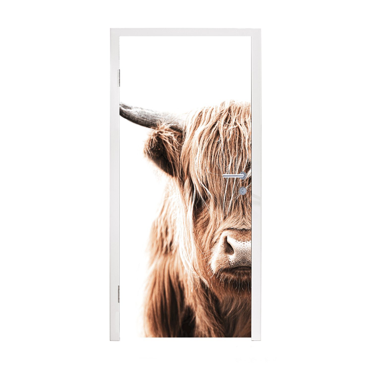 - Tiere, Fototapete Schottischer (1 Türaufkleber, Matt, Tür, St), MuchoWow für cm Highlander Kuh Türtapete - 75x205 bedruckt,