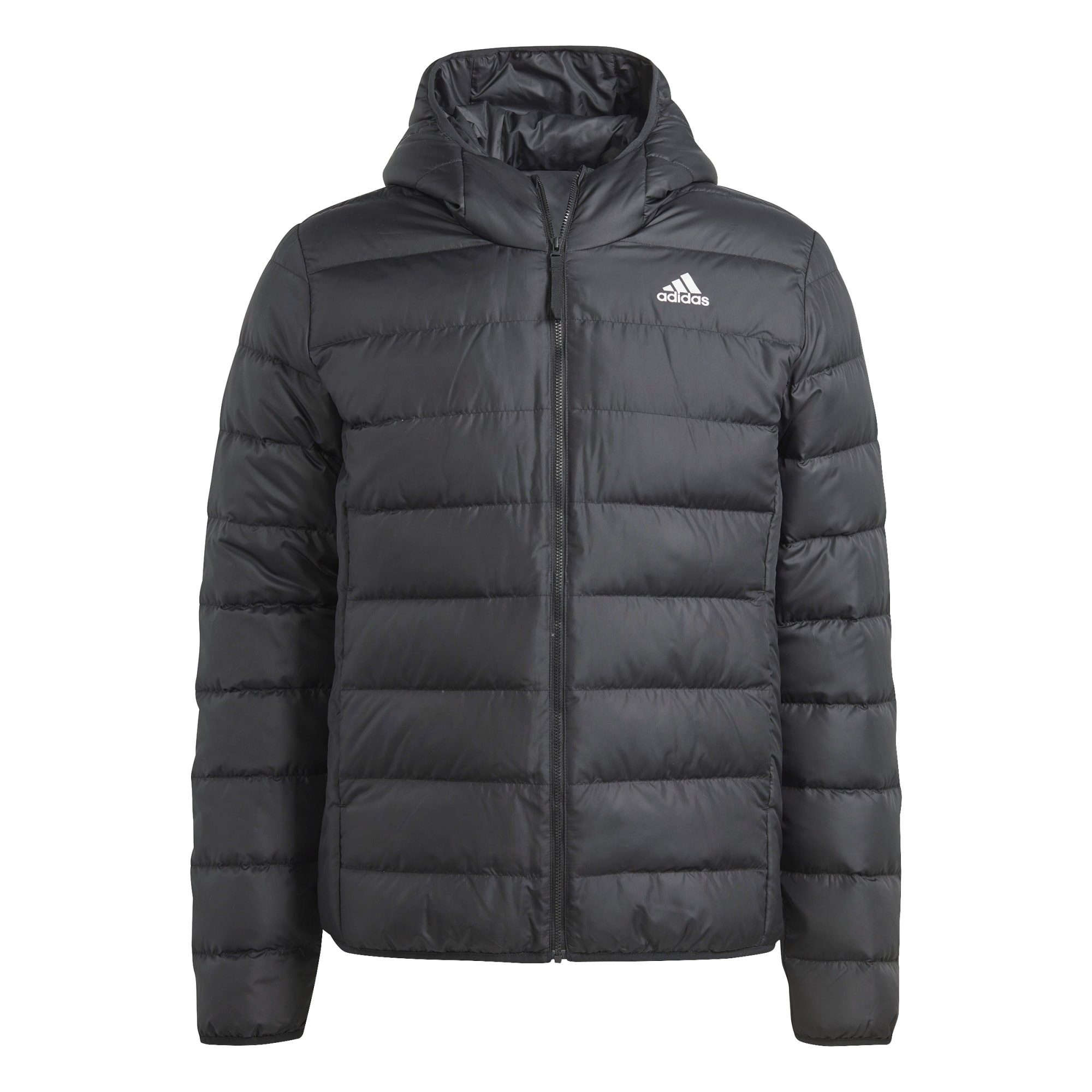 Daunenjacke adidas Herren Daunenjacke Essentials Light Hooded Downjacket