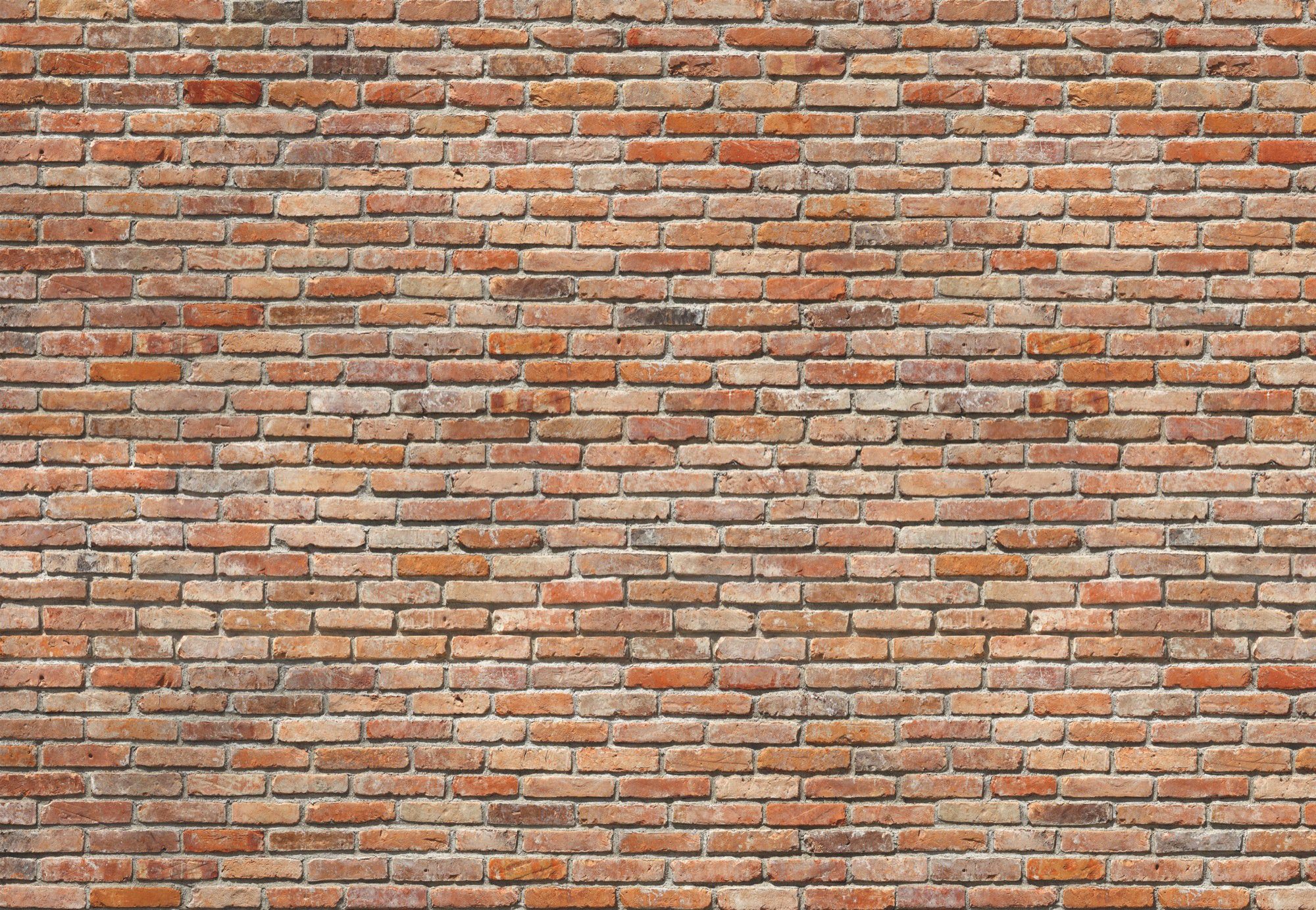 Komar Fototapete Backstein - Größe 368 x 254 cm, glatt, bedruckt, Wohnzimmer, Schlafzimmer