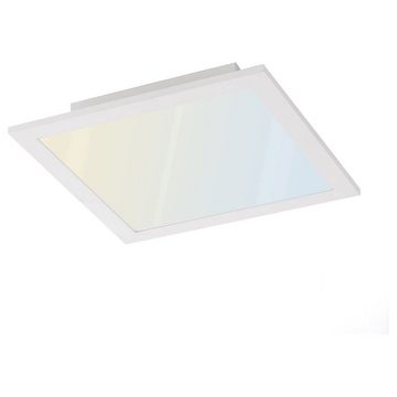 click-licht LED Panel LED Deckenpaneel Flat tunable White inkl. Fernbedienung 300 x 300 mm, keine Angabe, Leuchtmittel enthalten: Ja, fest verbaut, LED, warmweiss, LED Panele