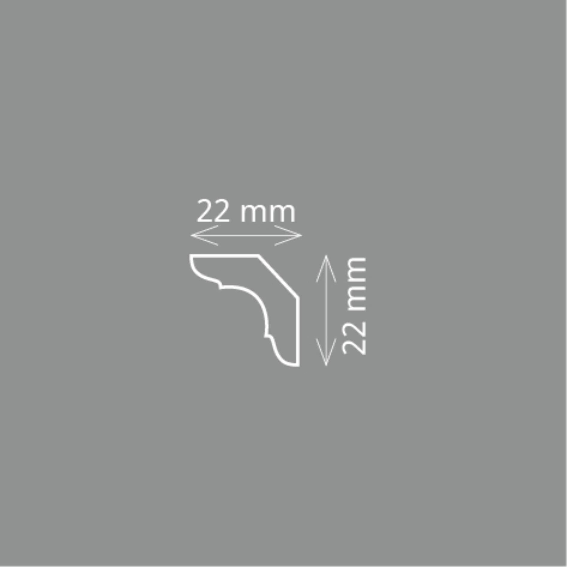 Homestar Zierleiste C 30 (22 x günstig online kaufen