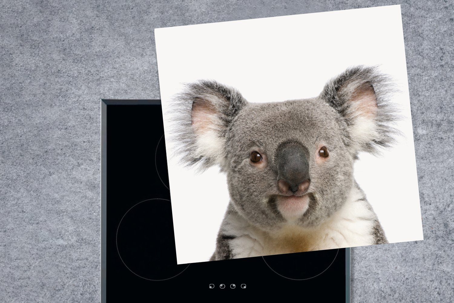 MuchoWow - Tiere Koala Weiß, 78x78 küche tlg), für (1 Ceranfeldabdeckung, Vinyl, Herdblende-/Abdeckplatte Arbeitsplatte cm, -