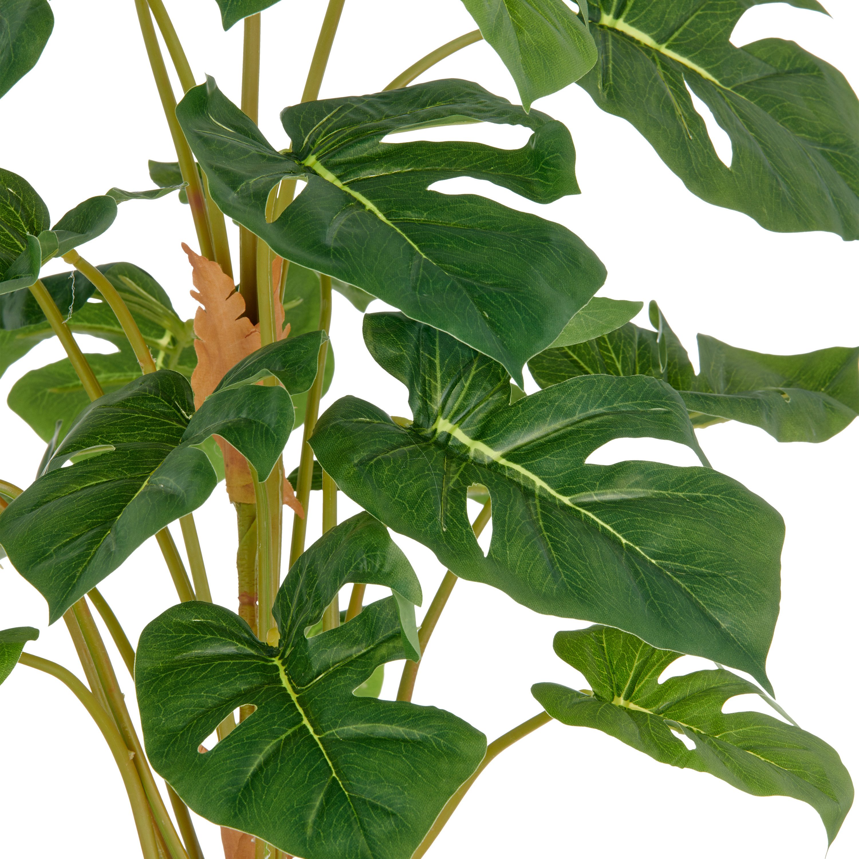 Kunstpflanze Split Philodendron, Creativ green, Höhe 65 cm, mit schönem Bla günstig online kaufen