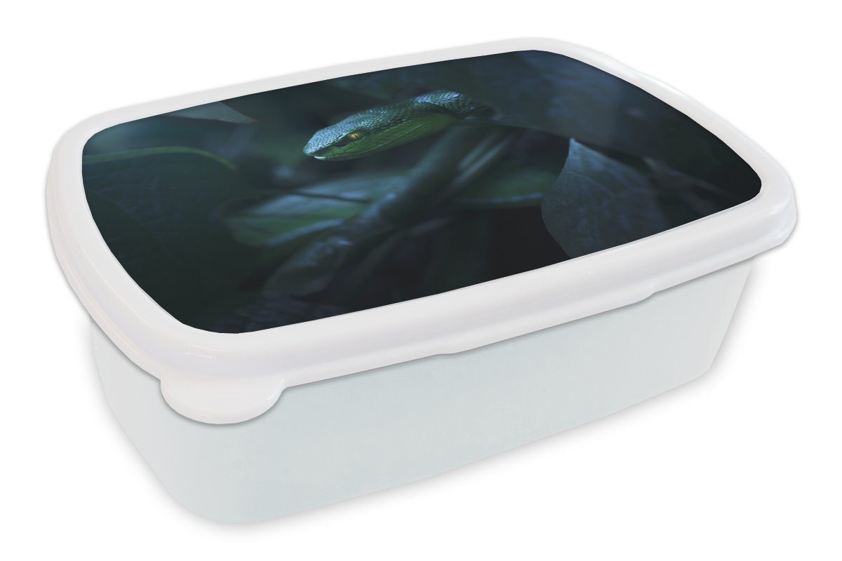 MuchoWow Lunchbox Schlange - (2-tlg), für Mädchen Erwachsene, und Holz, und weiß Makro für Kunststoff, Brotbox Jungs Kinder Brotdose, 