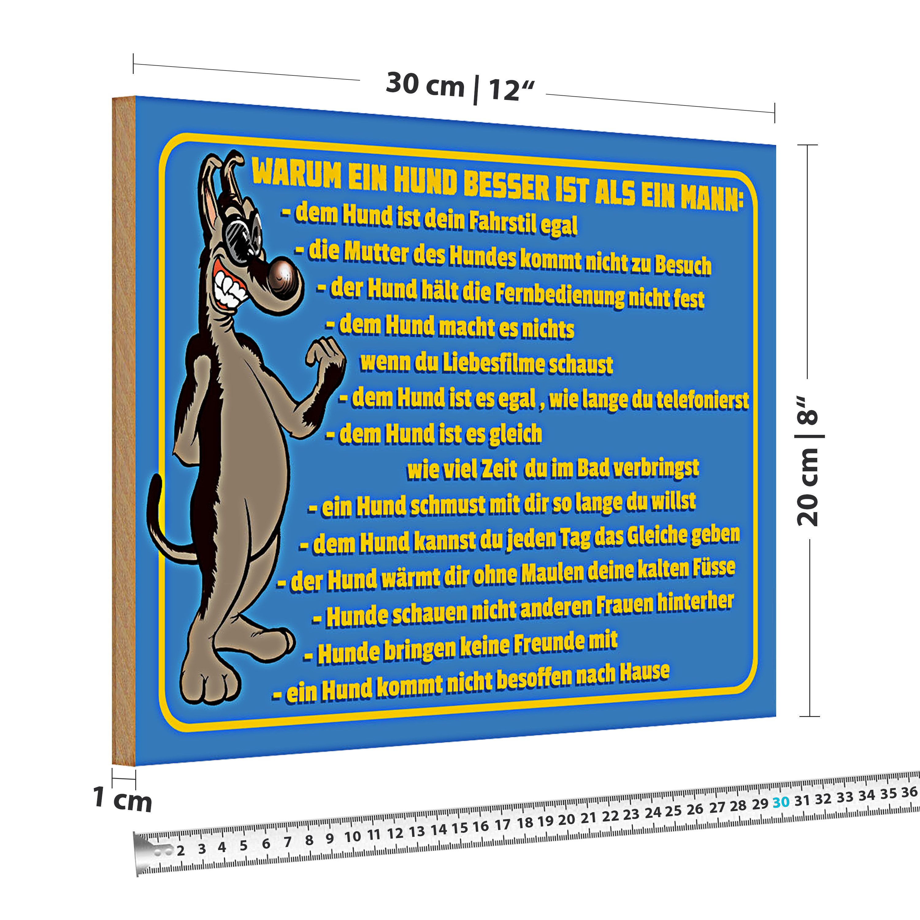 Roomando Holzbild Holzschild Spruch 30x20cm Warum Hund besser ist als Mann