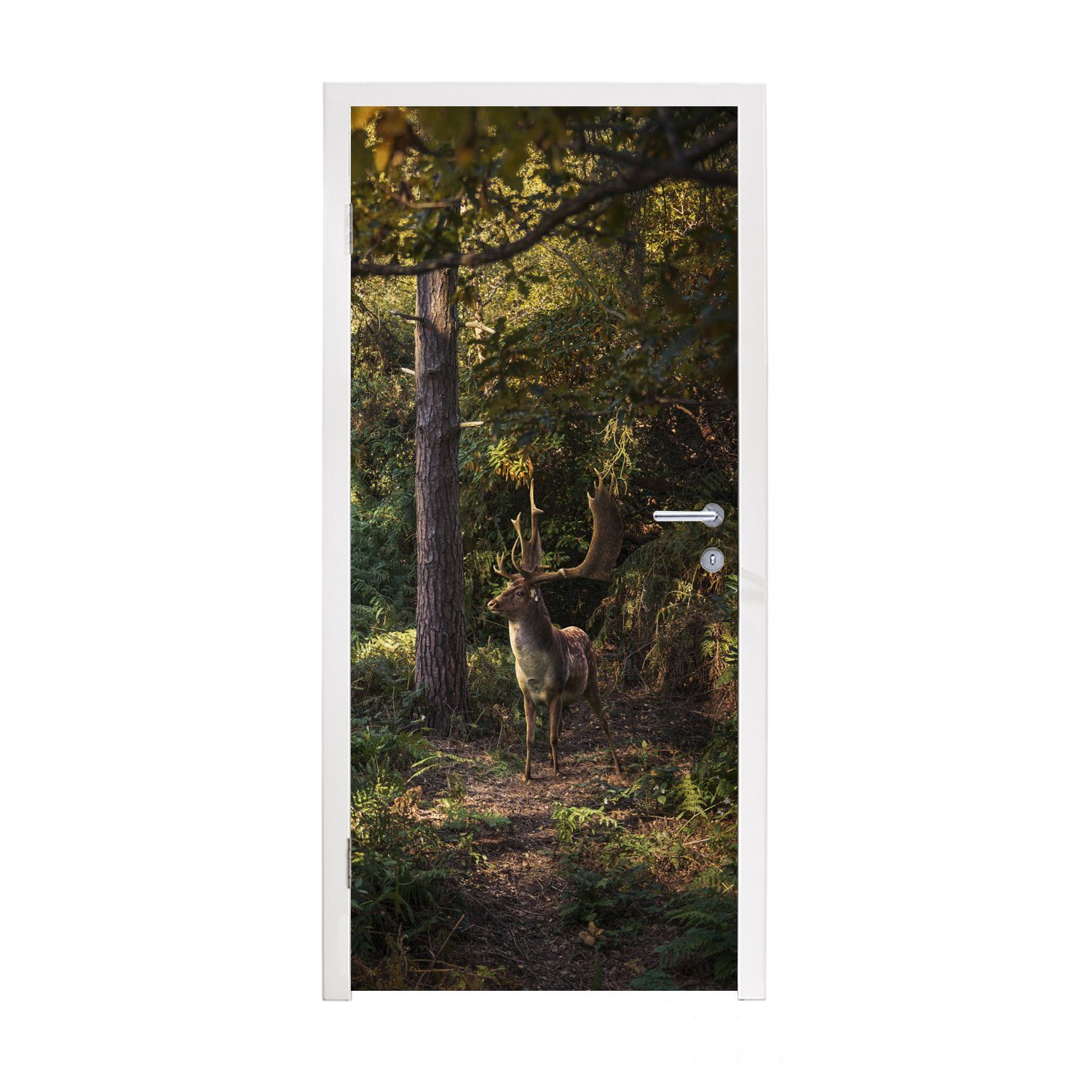 MuchoWow Türtapete Hirsch - Geweih - Wald - Herbst, Matt, bedruckt, (1 St), Fototapete für Tür, Türaufkleber, 75x205 cm